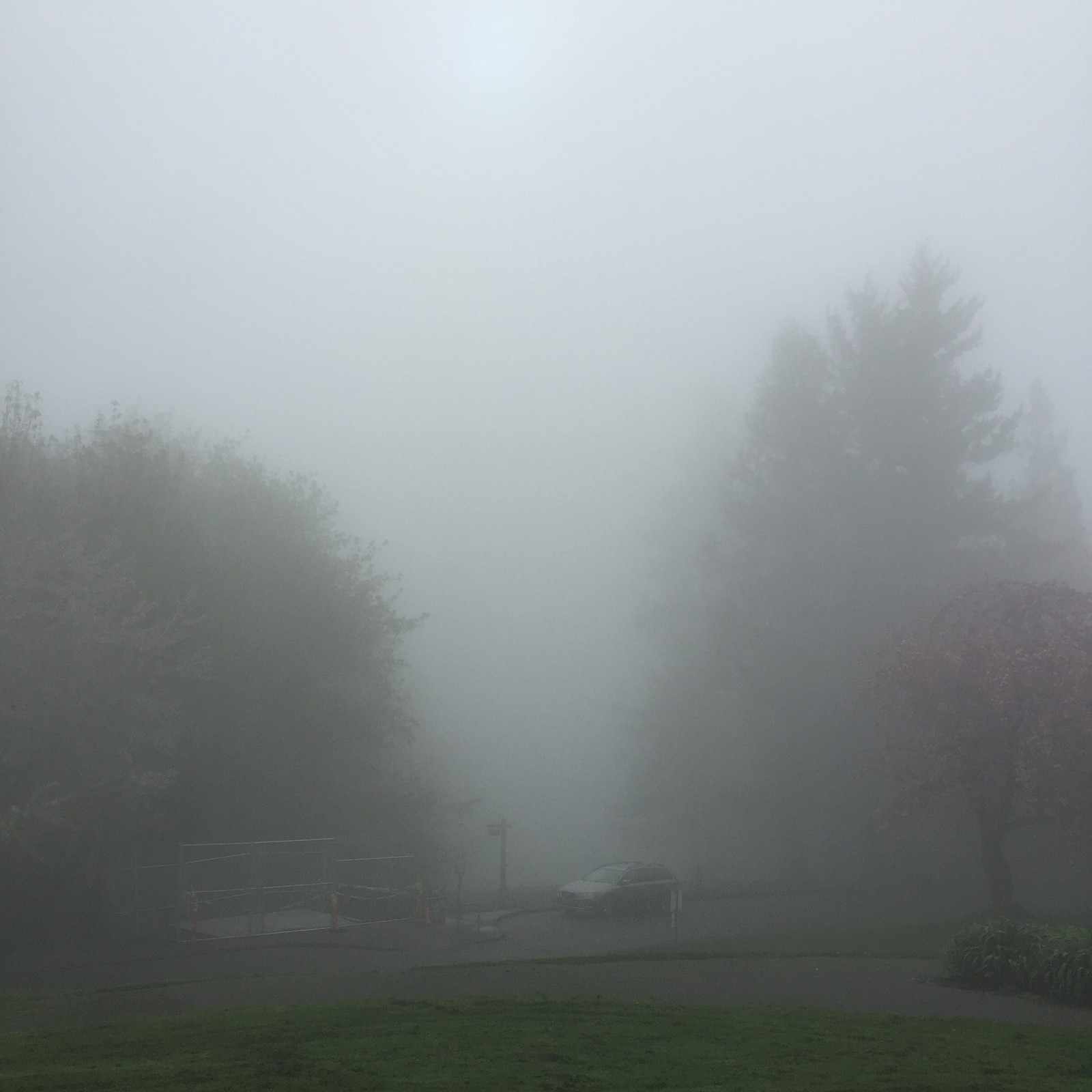View from Council Crest toward Mt. Hood, which is NOT visible