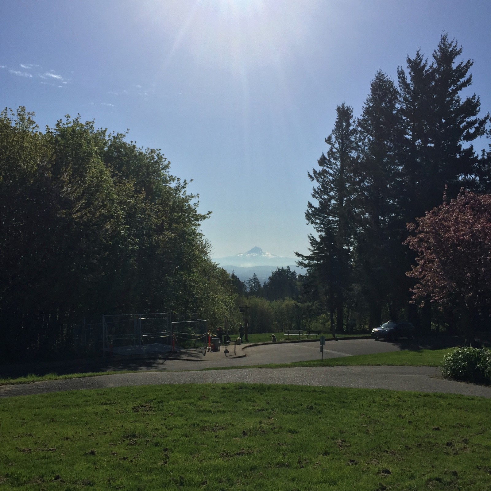 View from Council Crest toward Mt. Hood, which is visible