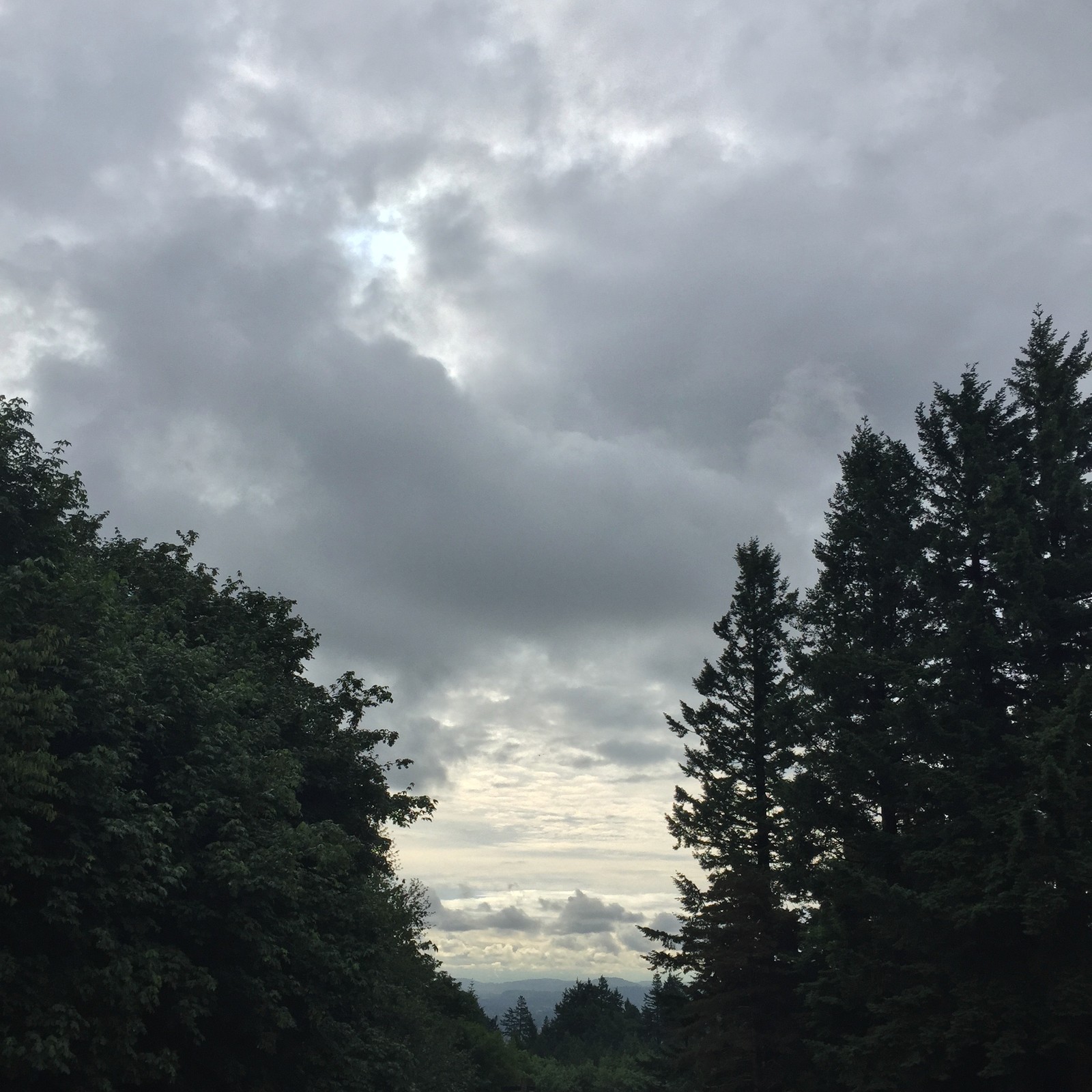 View from Council Crest toward Mt. Hood, which is NOT visible