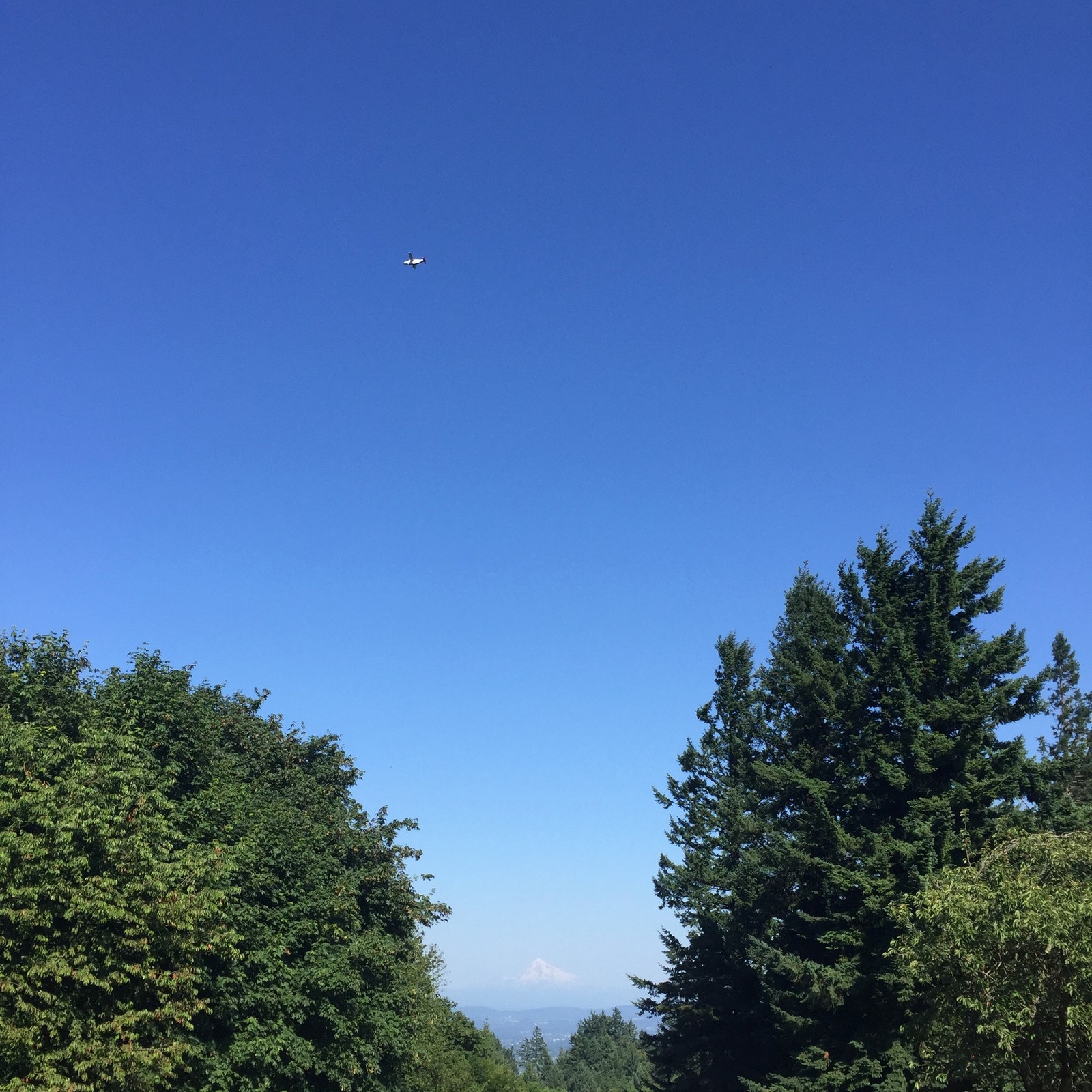 View from Council Crest toward Mt. Hood, which is visible