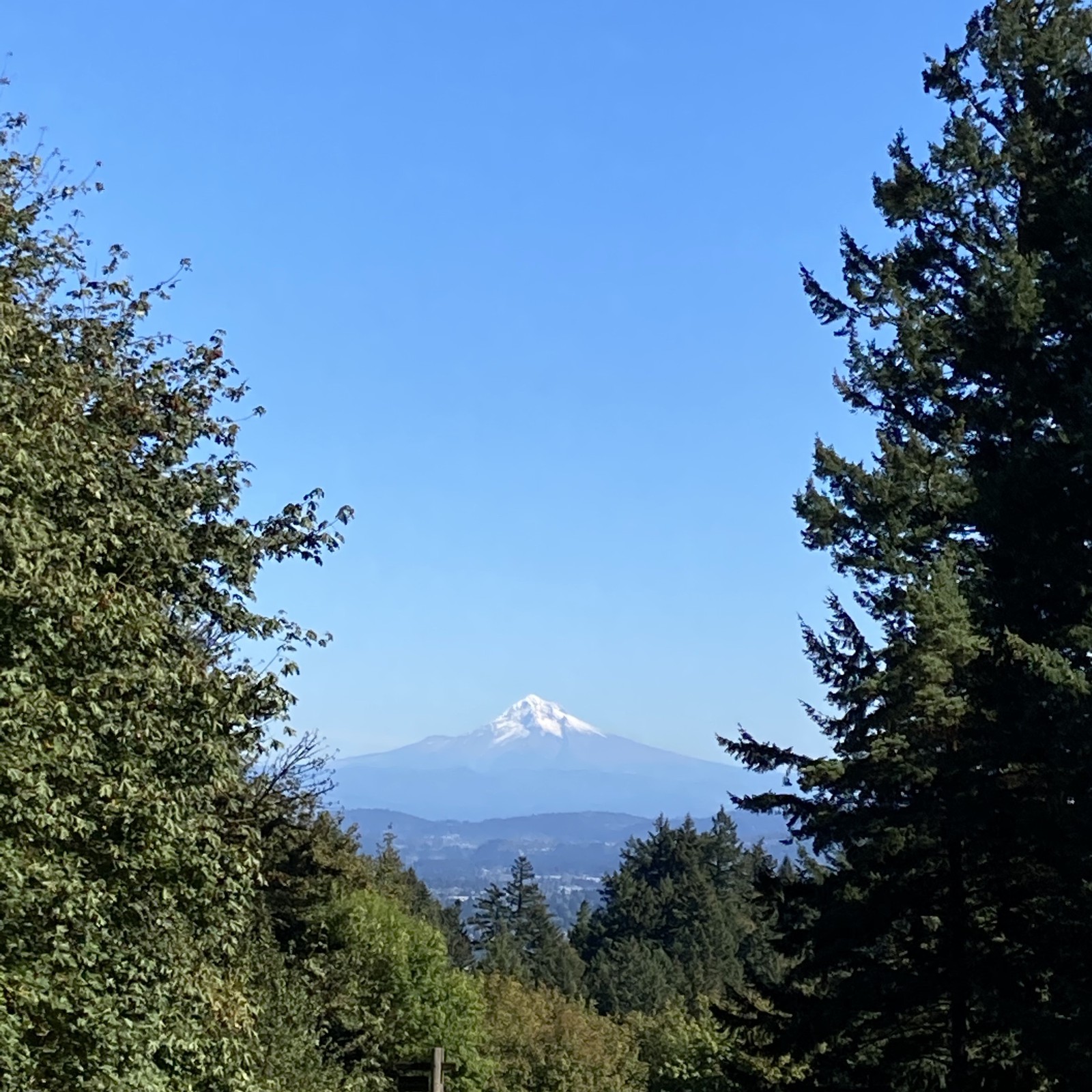 View from Council Crest toward Mt. Hood, which is visible