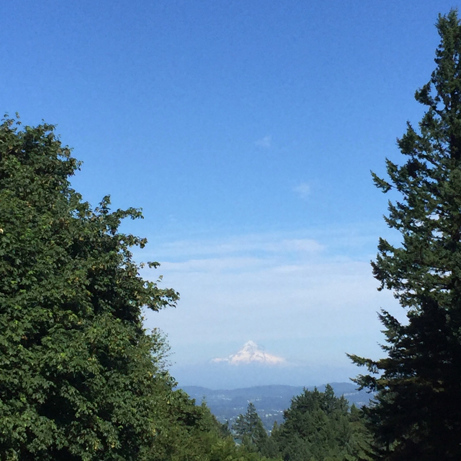View from Council Crest toward Mt. Hood, which is visible