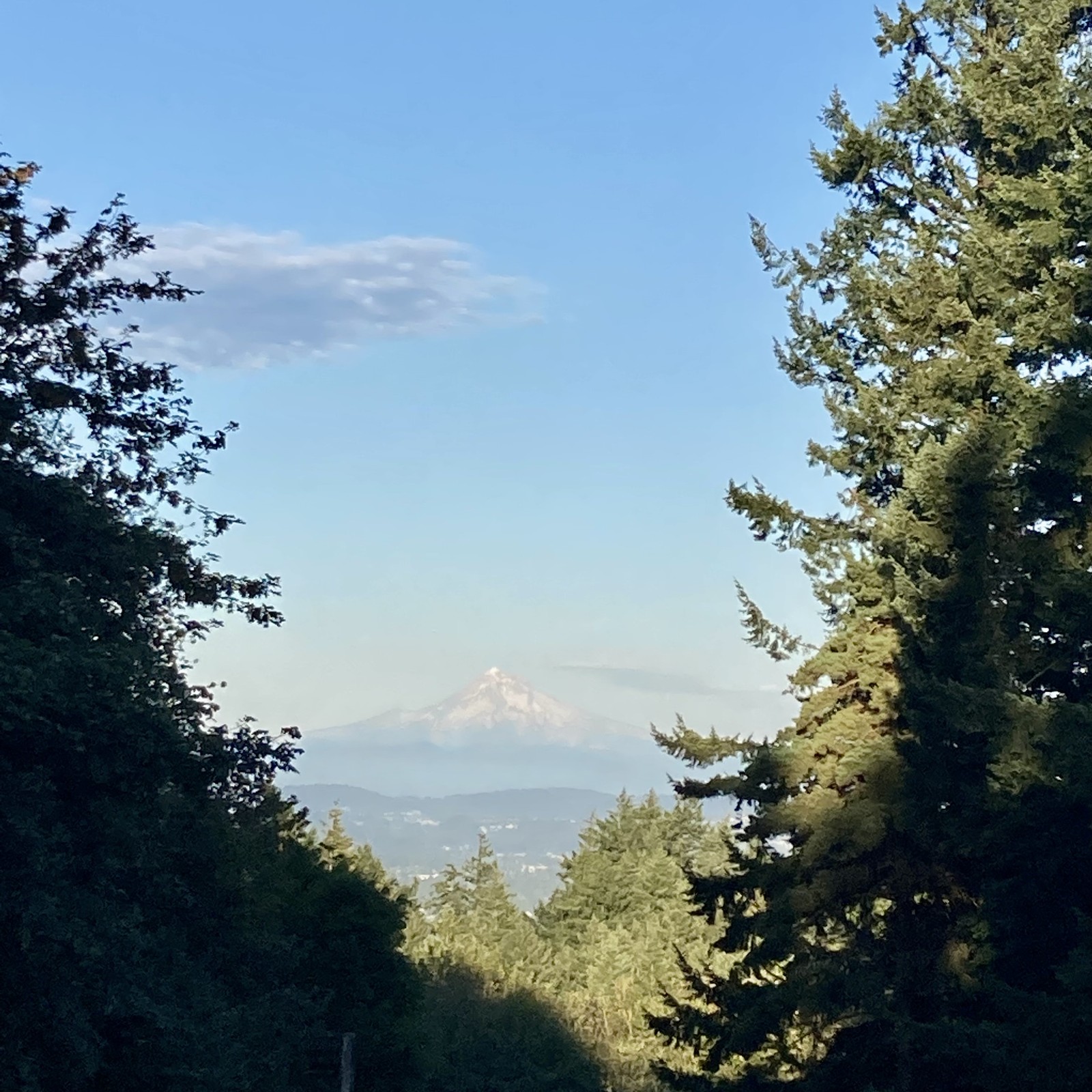 View from Council Crest toward Mt. Hood, which is visible