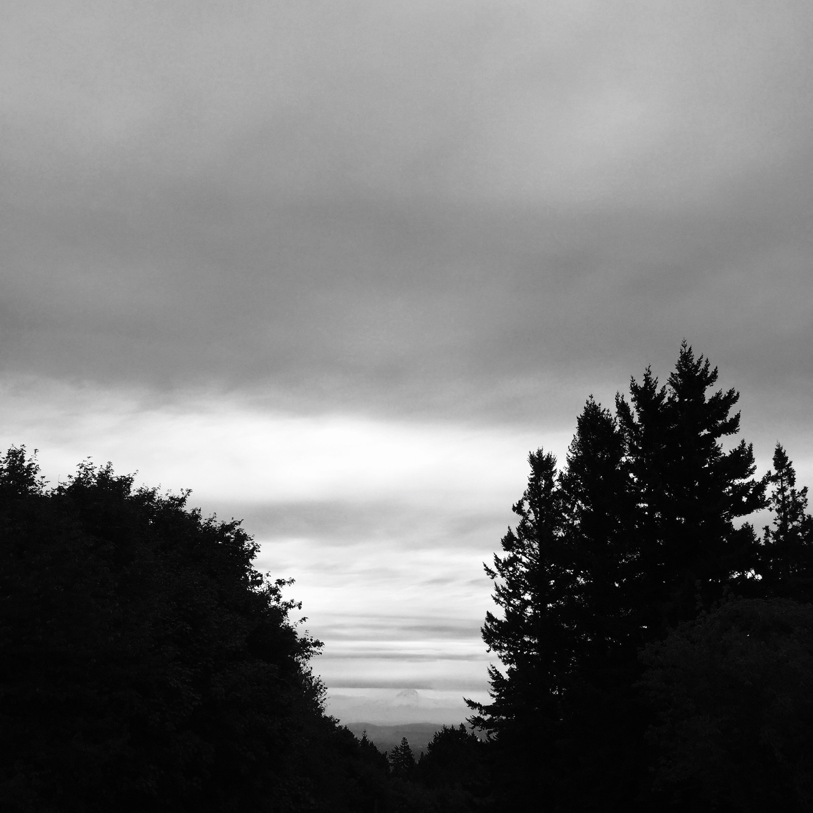 View from Council Crest toward Mt. Hood, which is visible