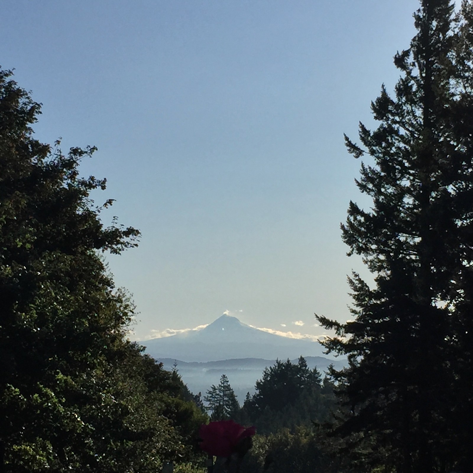 View from Council Crest toward Mt. Hood, which is visible