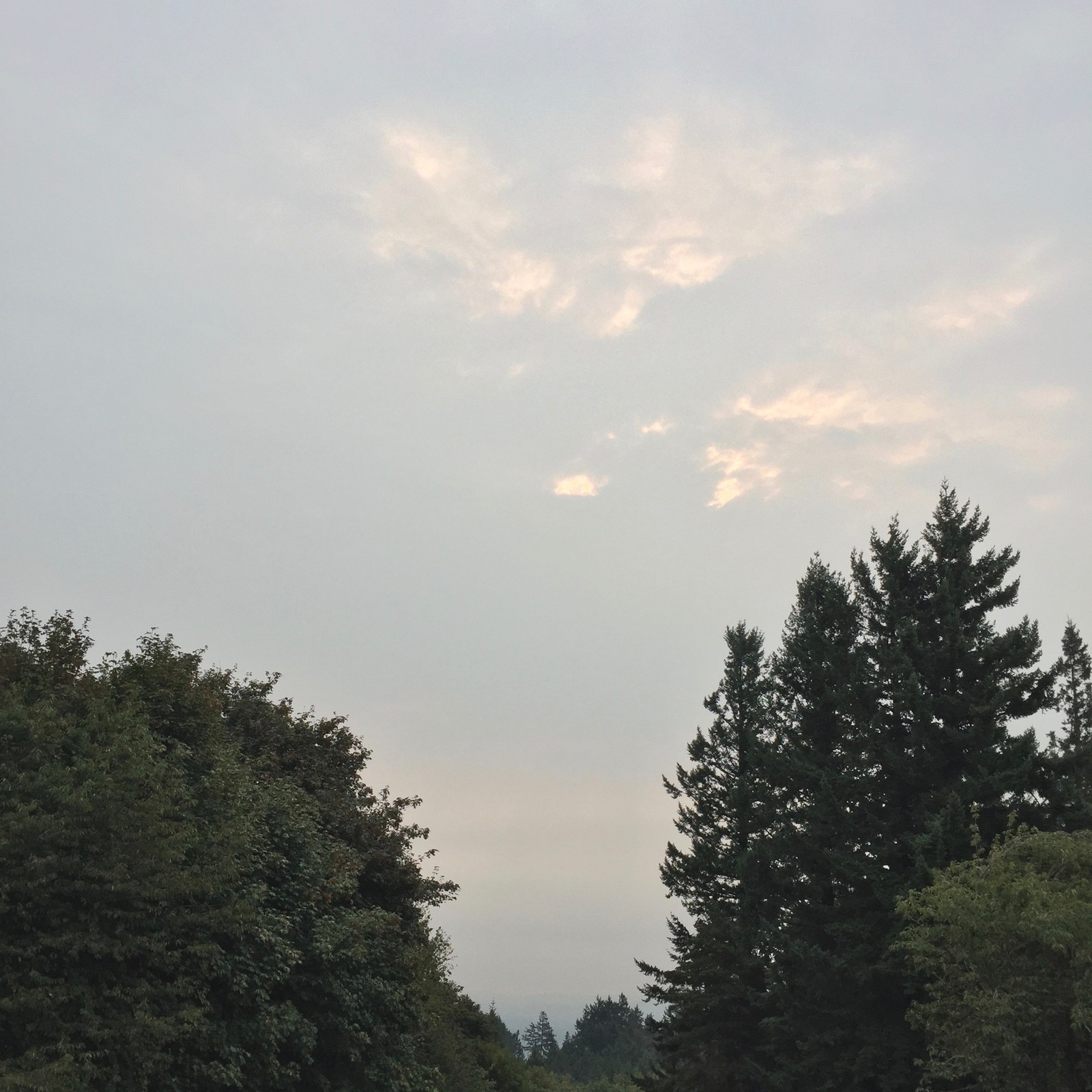 View from Council Crest toward Mt. Hood, which is NOT visible