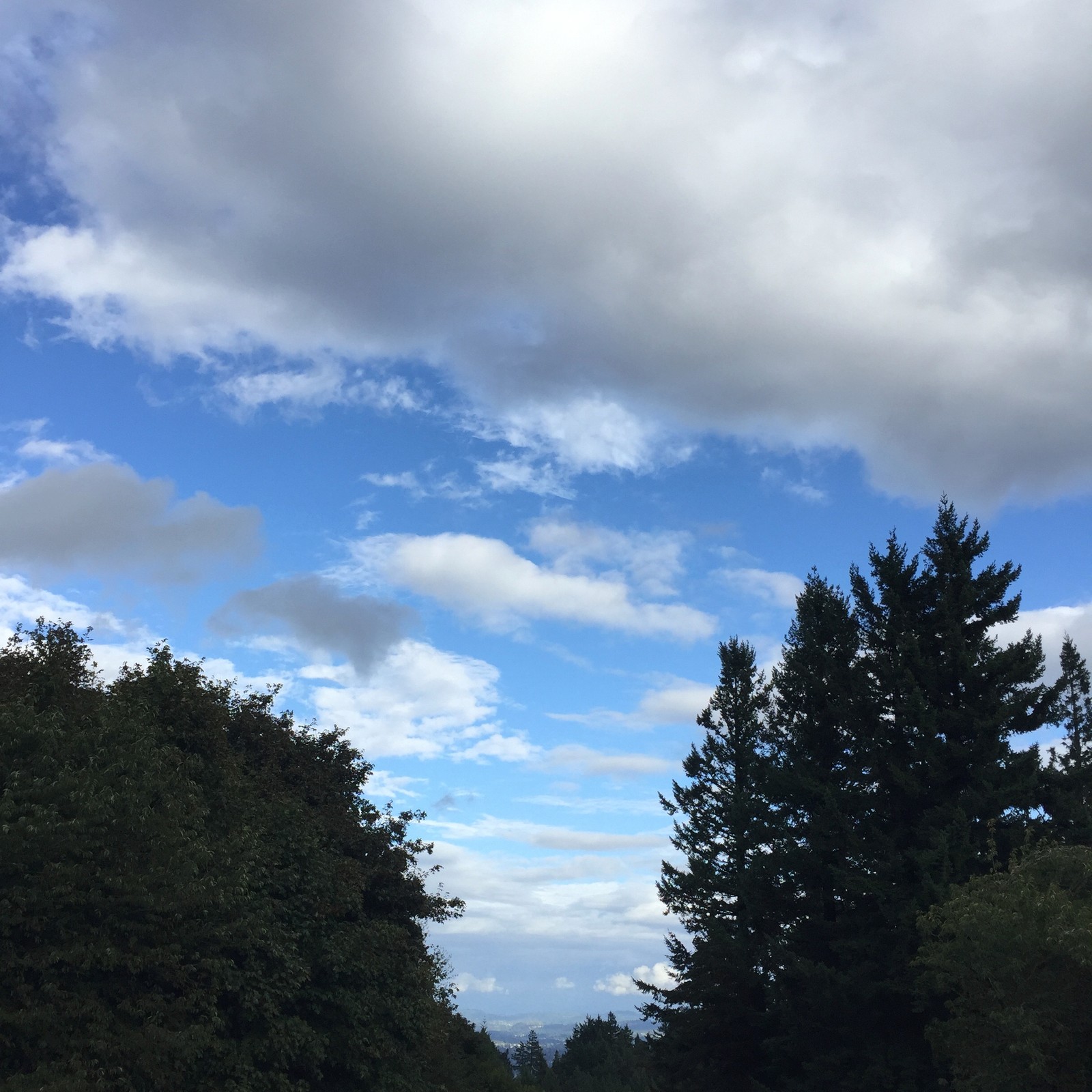 View from Council Crest toward Mt. Hood, which is NOT visible