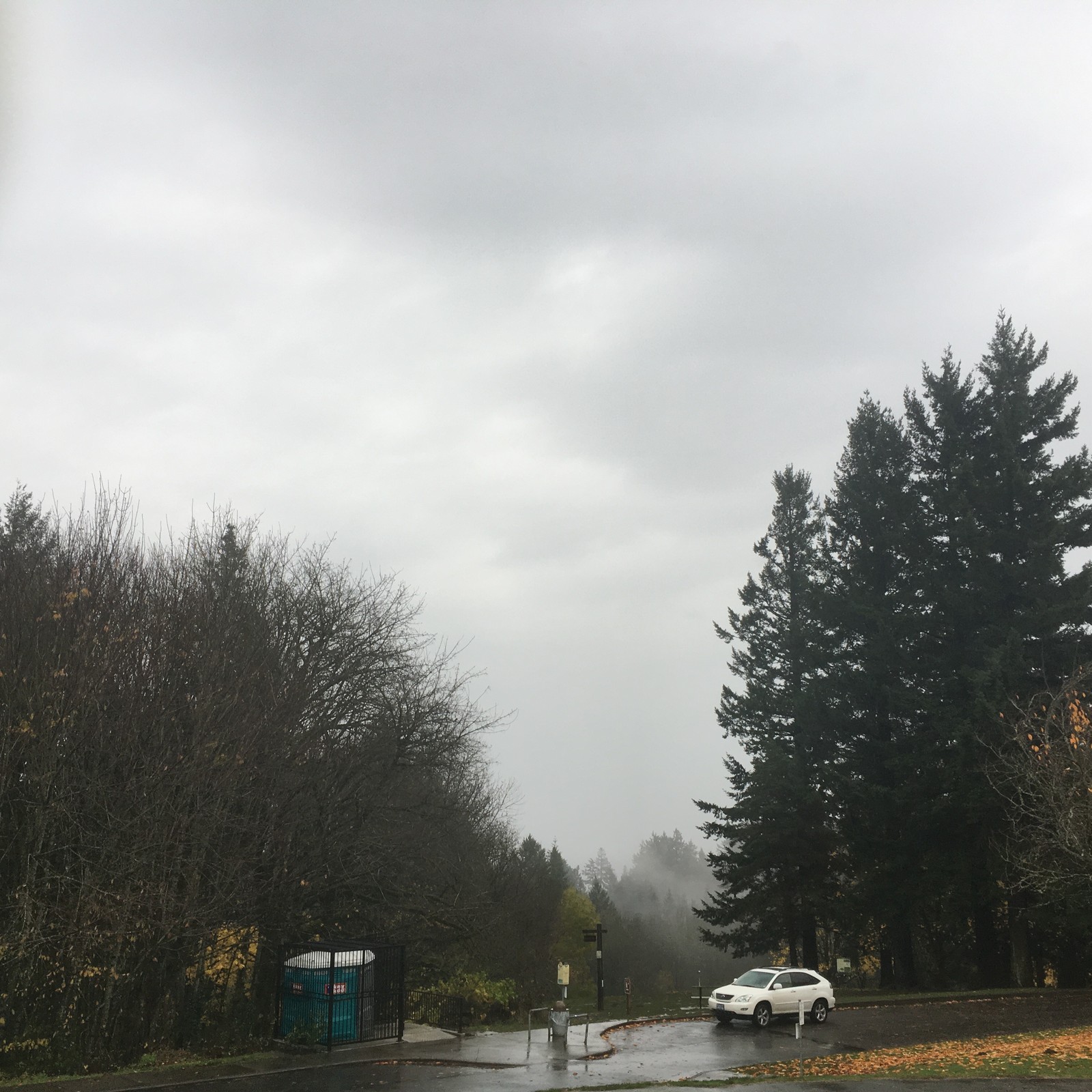 View from Council Crest toward Mt. Hood, which is NOT visible