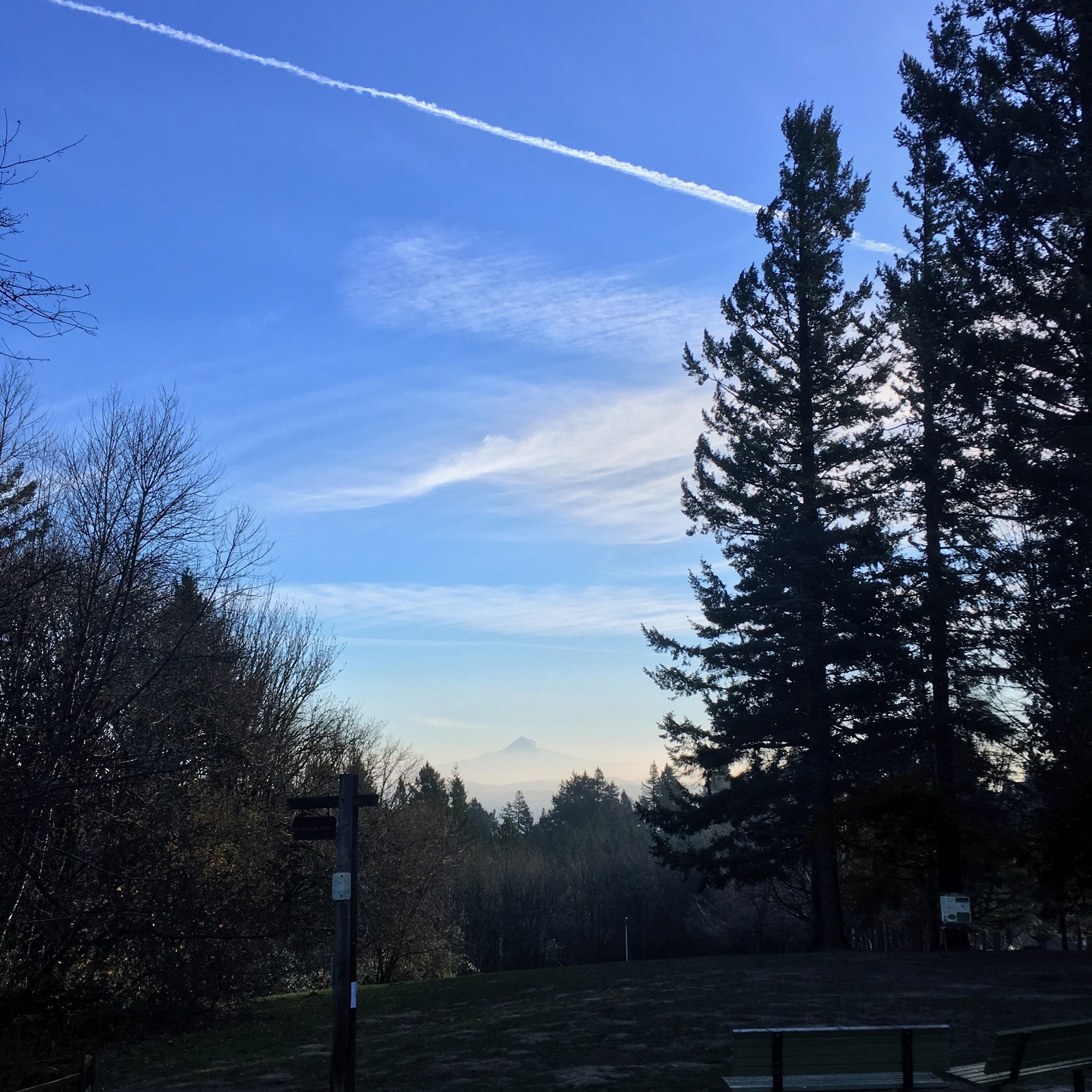 View from Council Crest toward Mt. Hood, which is visible