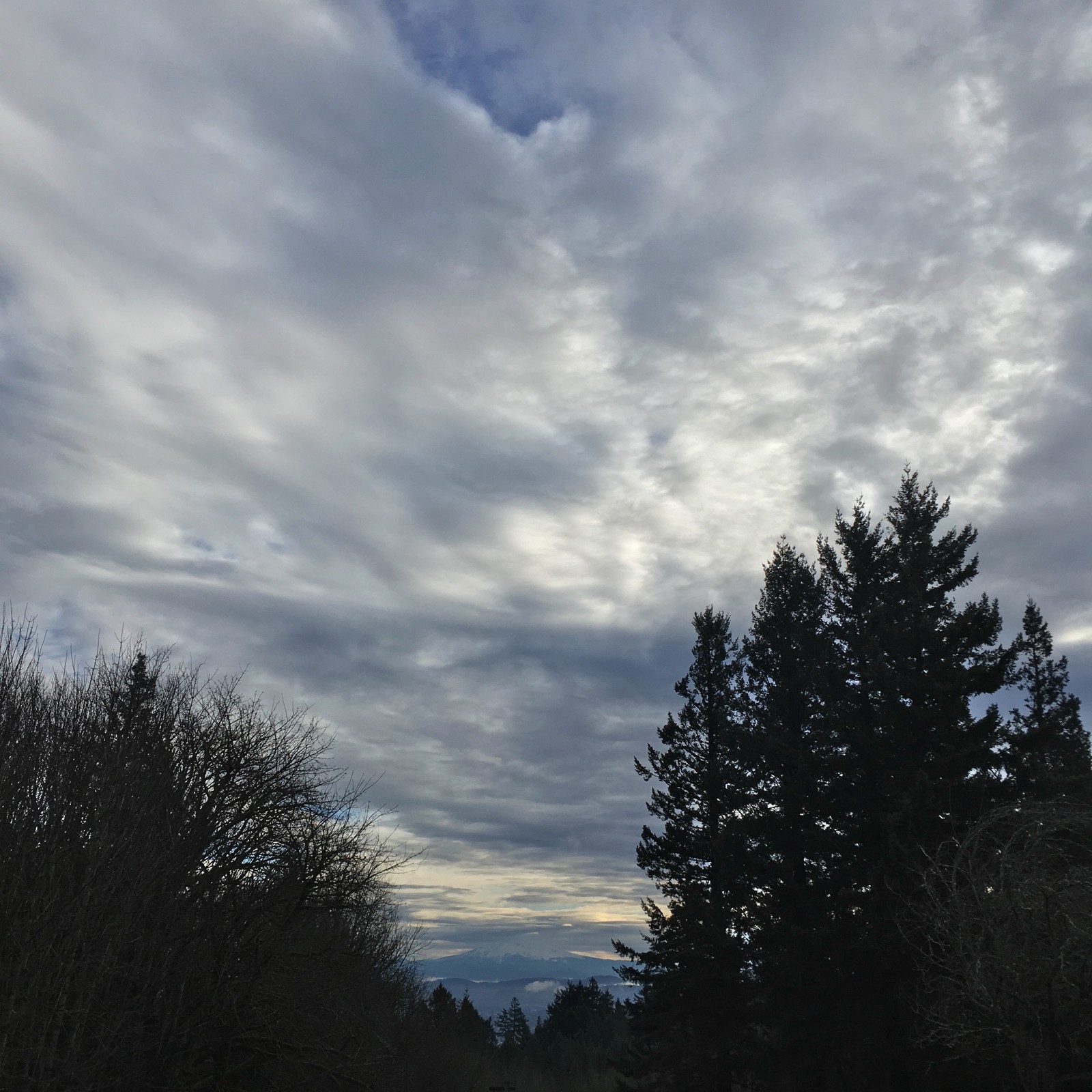 View from Council Crest toward Mt. Hood, which is visible