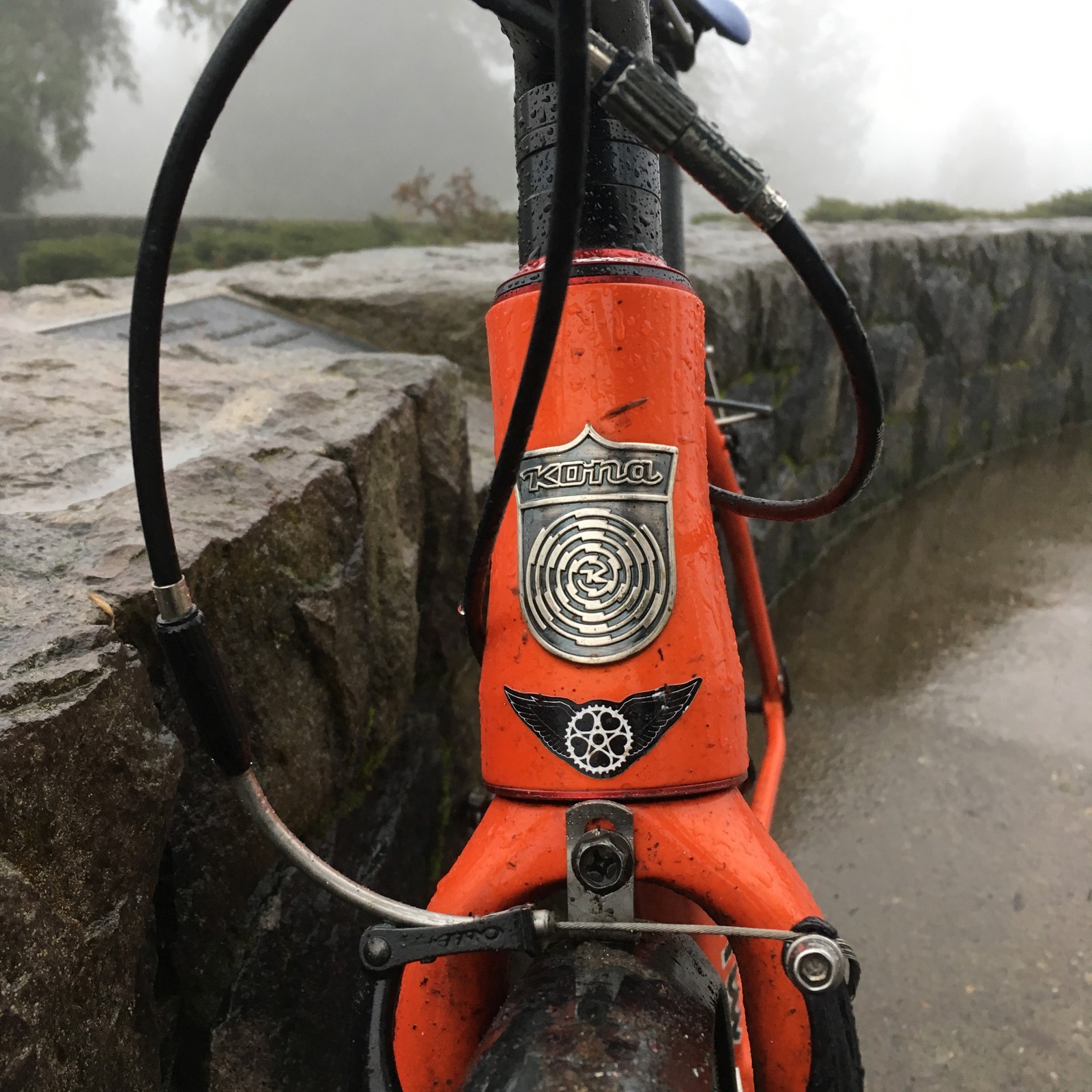 View from Council Crest toward Mt. Hood, which is NOT visible