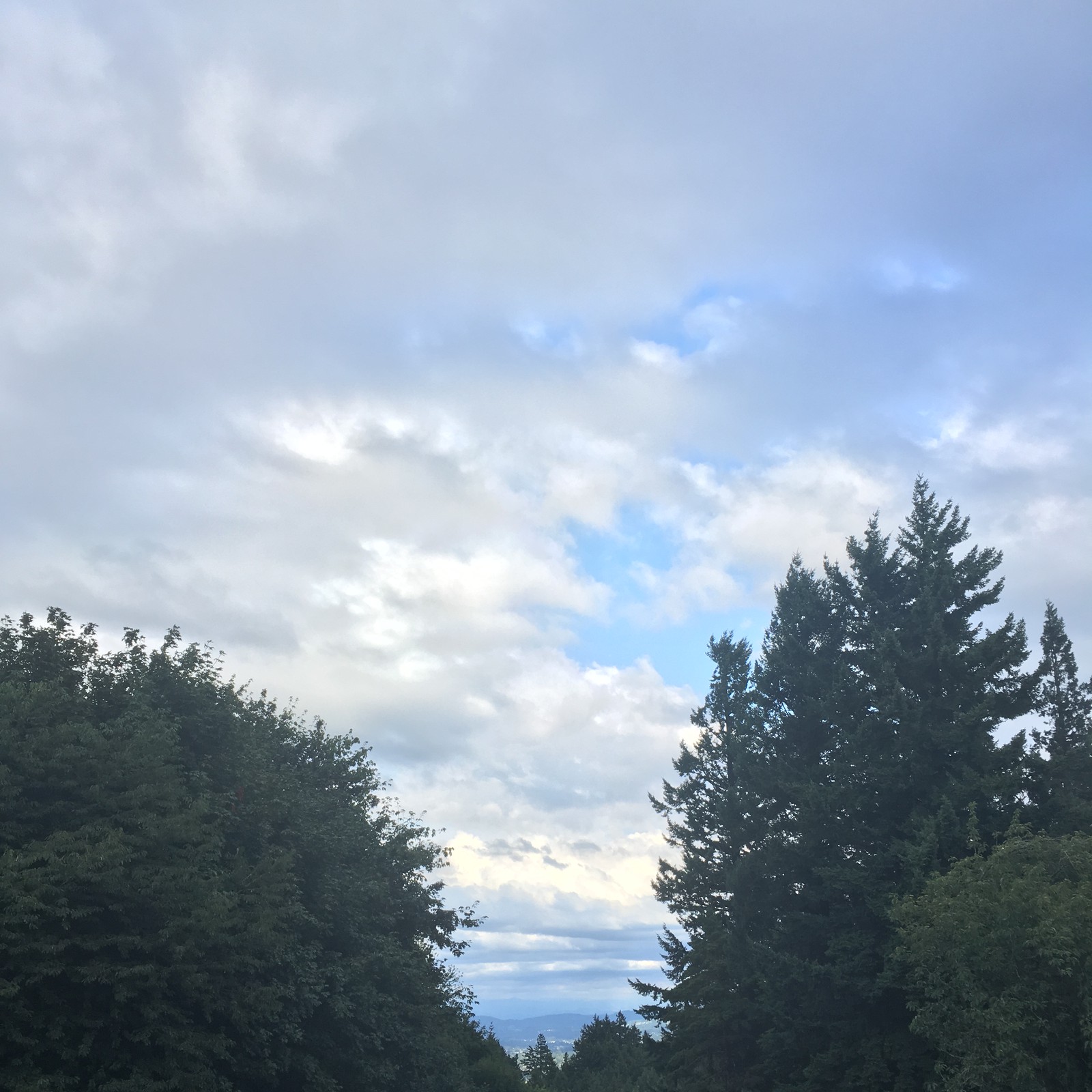 View from Council Crest toward Mt. Hood, which is NOT visible
