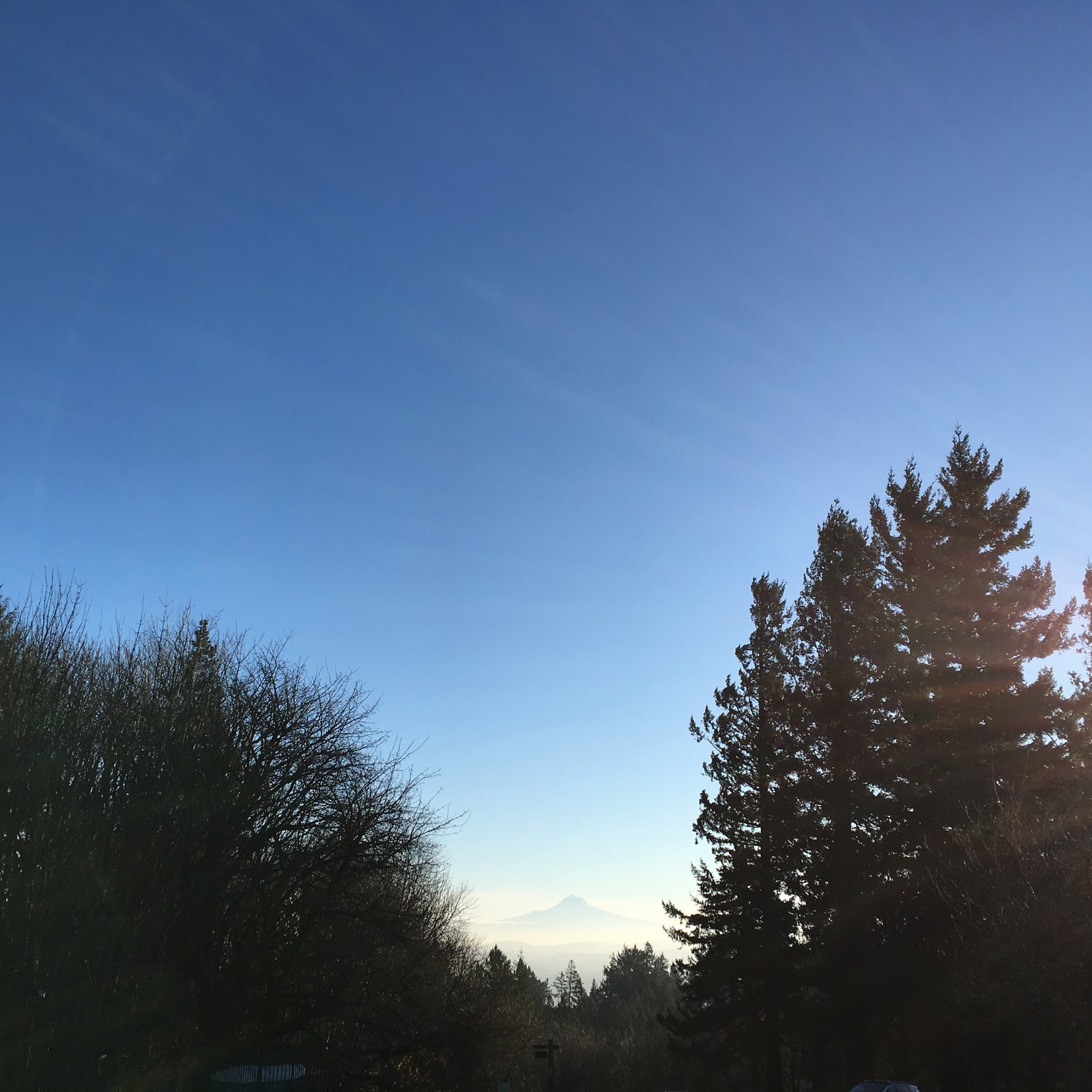 View from Council Crest toward Mt. Hood, which is visible