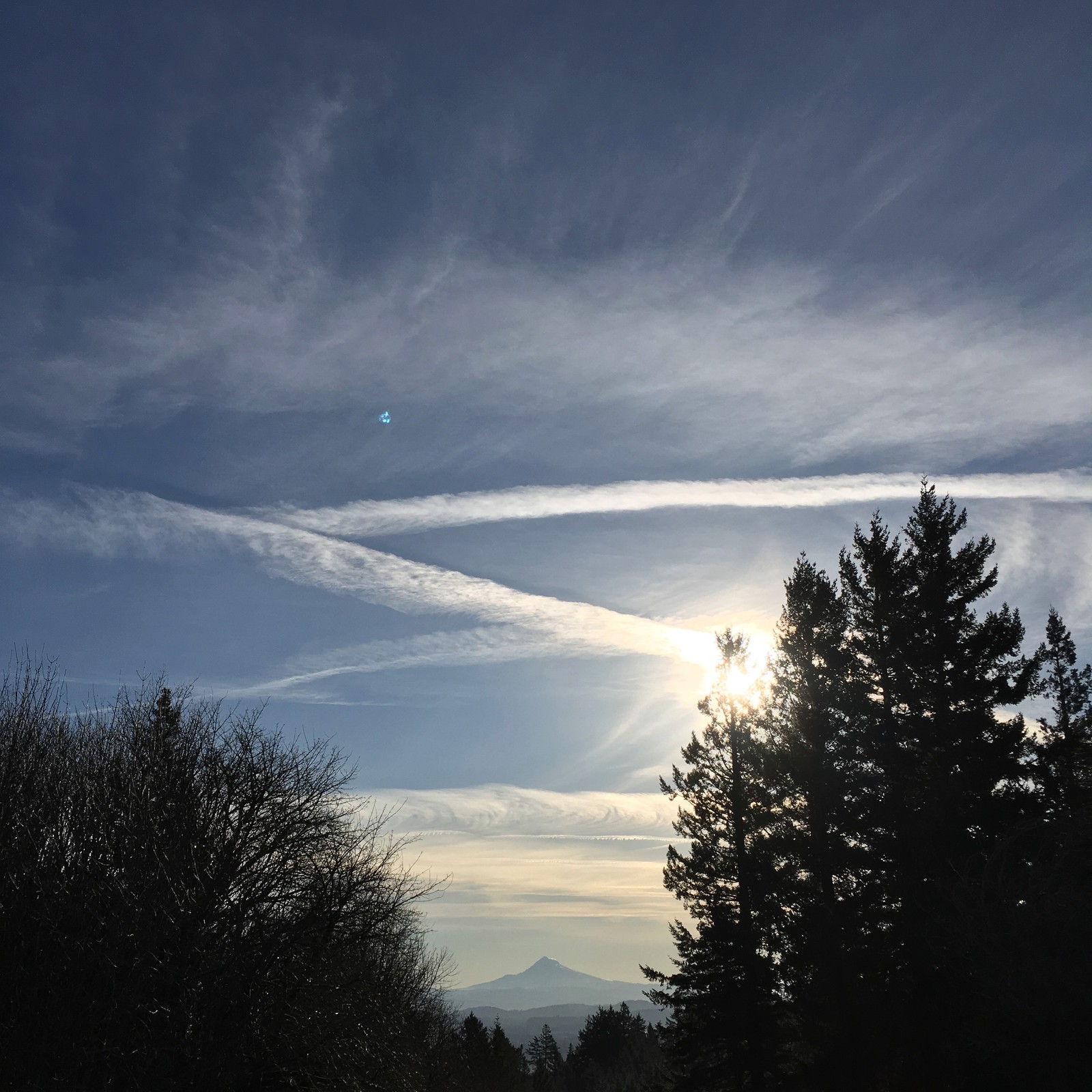 View from Council Crest toward Mt. Hood, which is visible