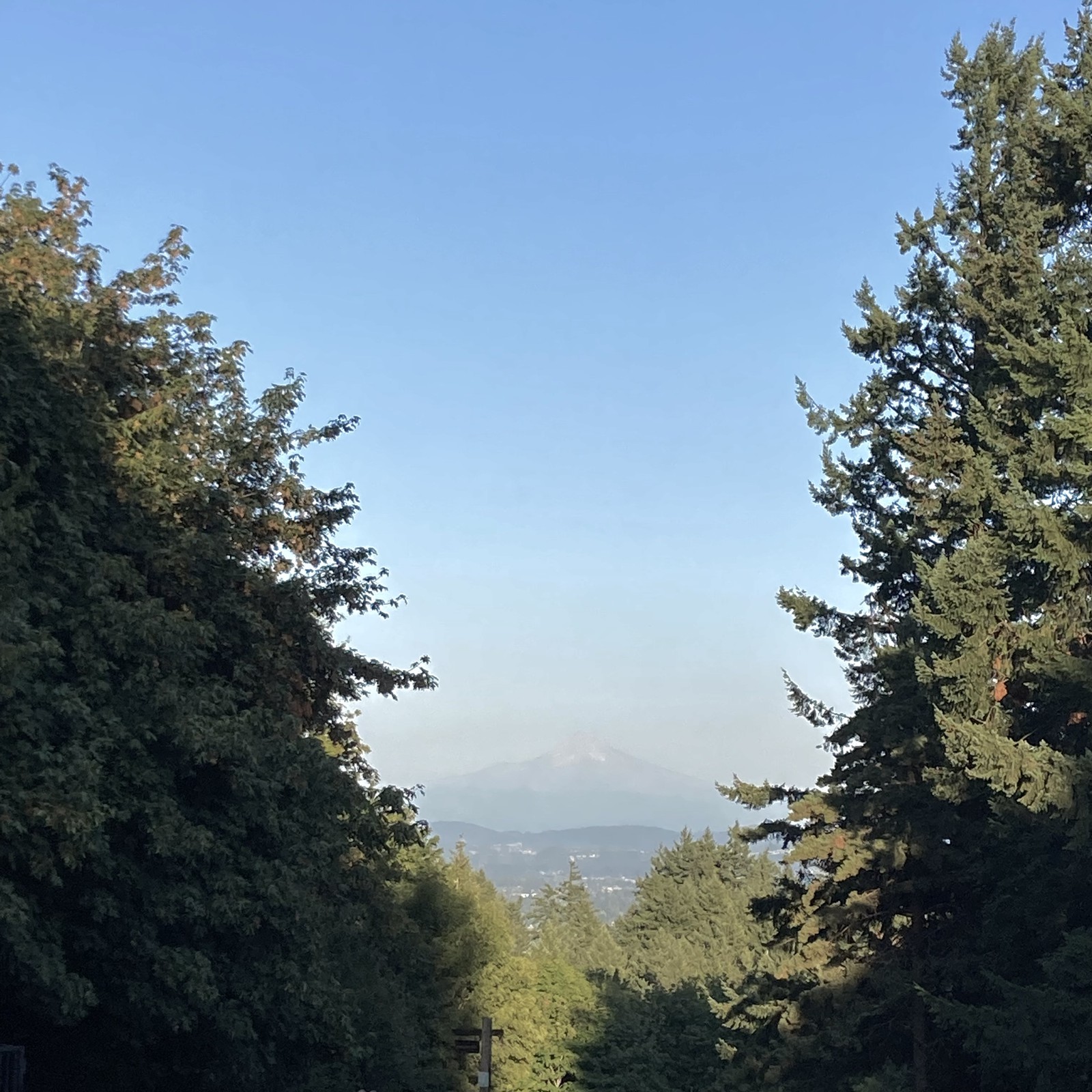View from Council Crest toward Mt. Hood, which is visible