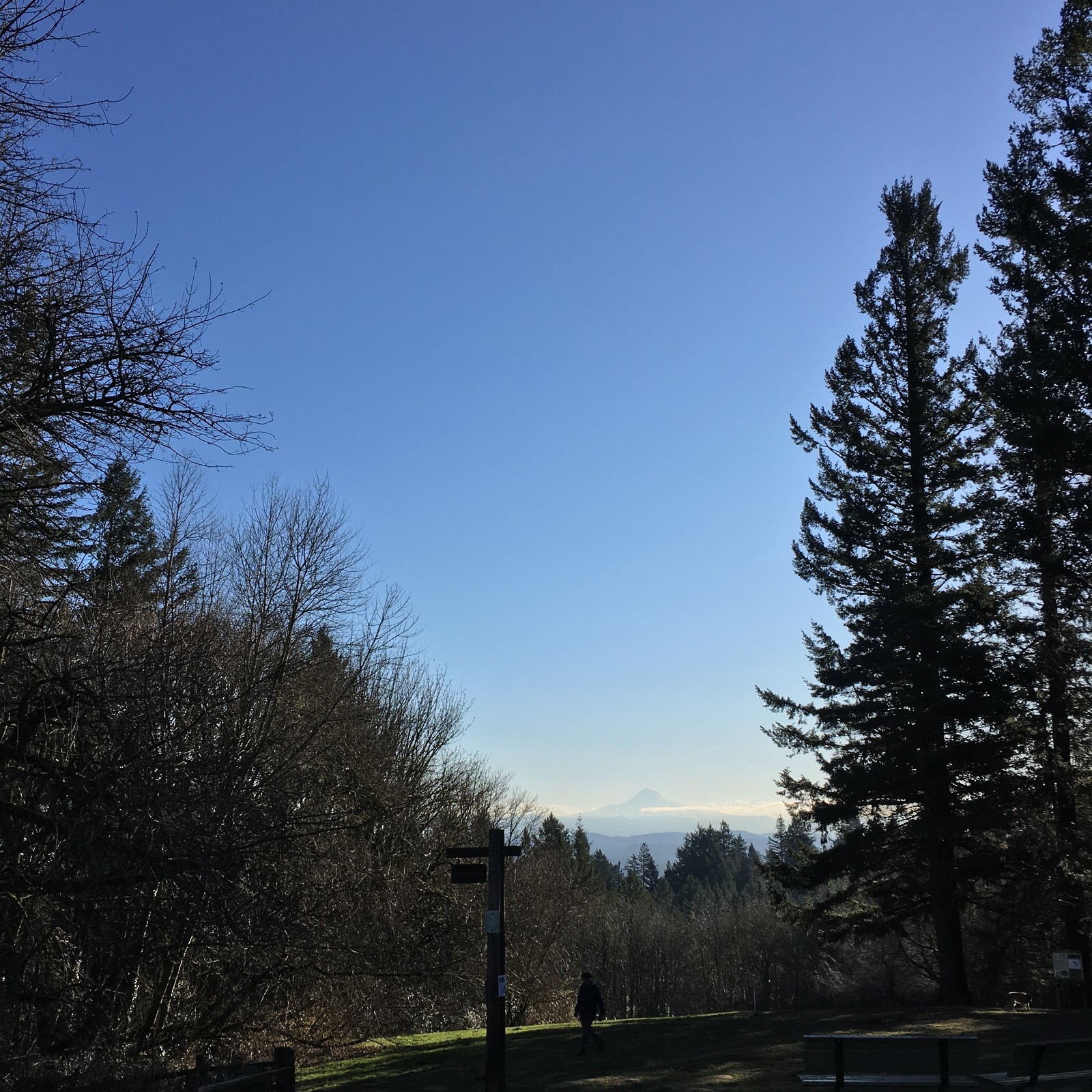 View from Council Crest toward Mt. Hood, which is visible