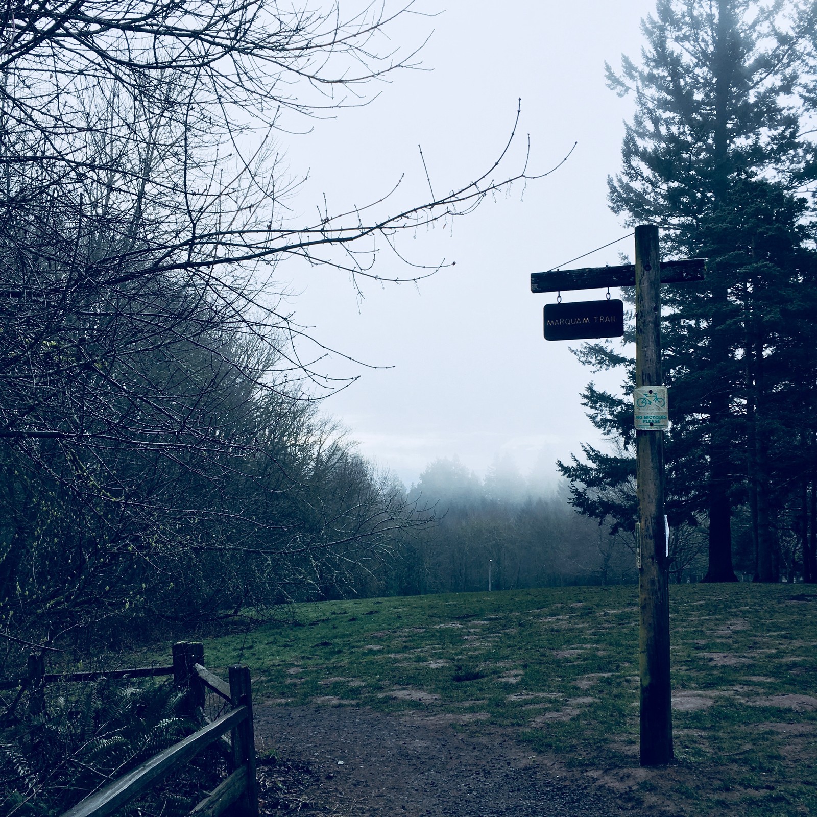 View from Council Crest toward Mt. Hood, which is NOT visible