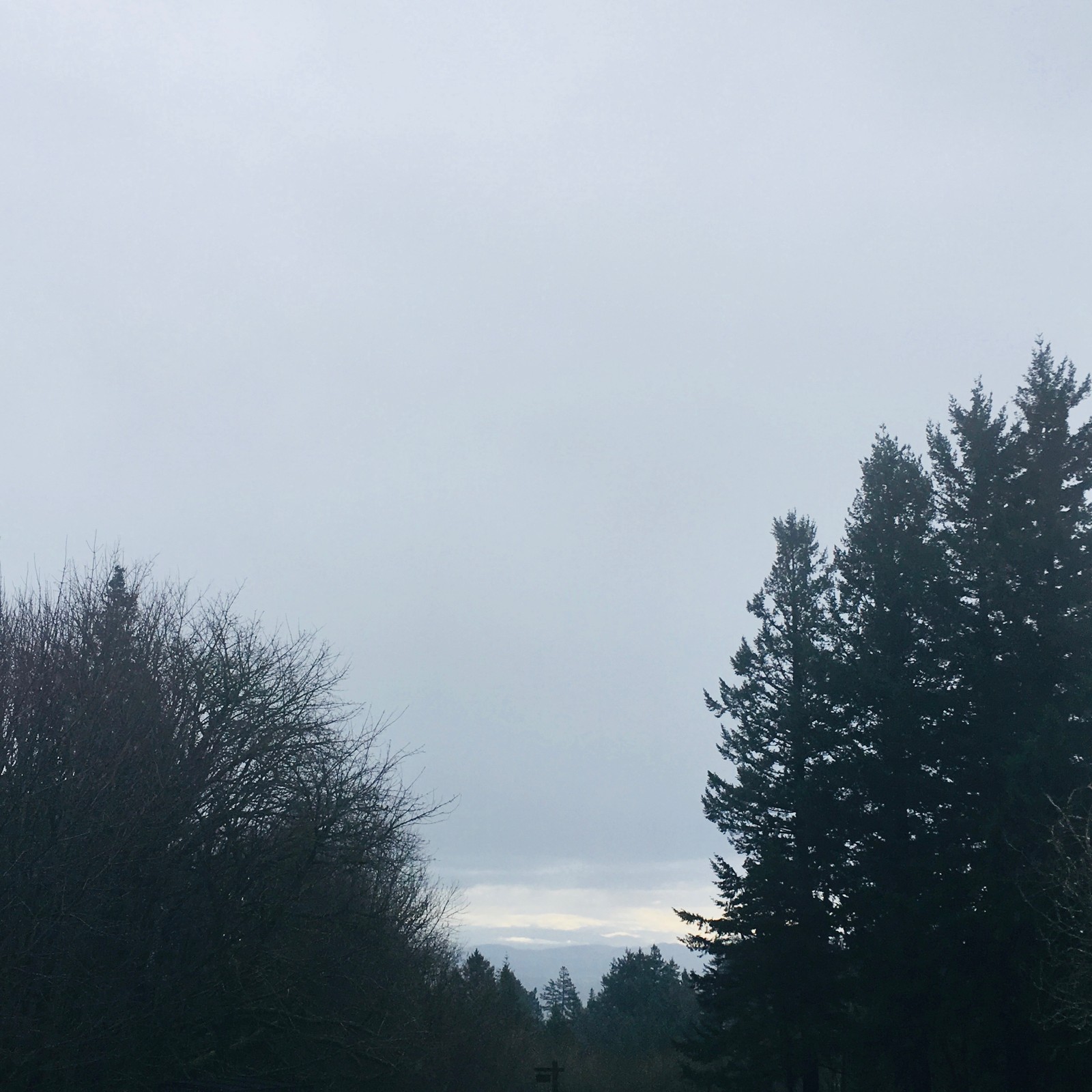 View from Council Crest toward Mt. Hood, which is NOT visible