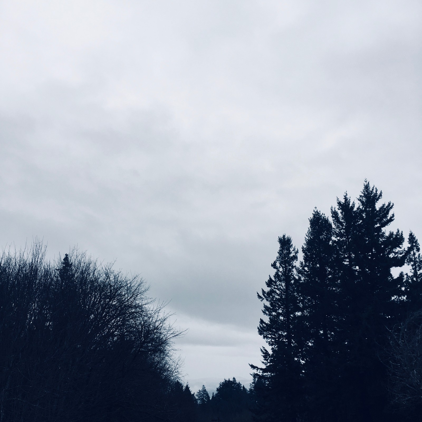 View from Council Crest toward Mt. Hood, which is NOT visible