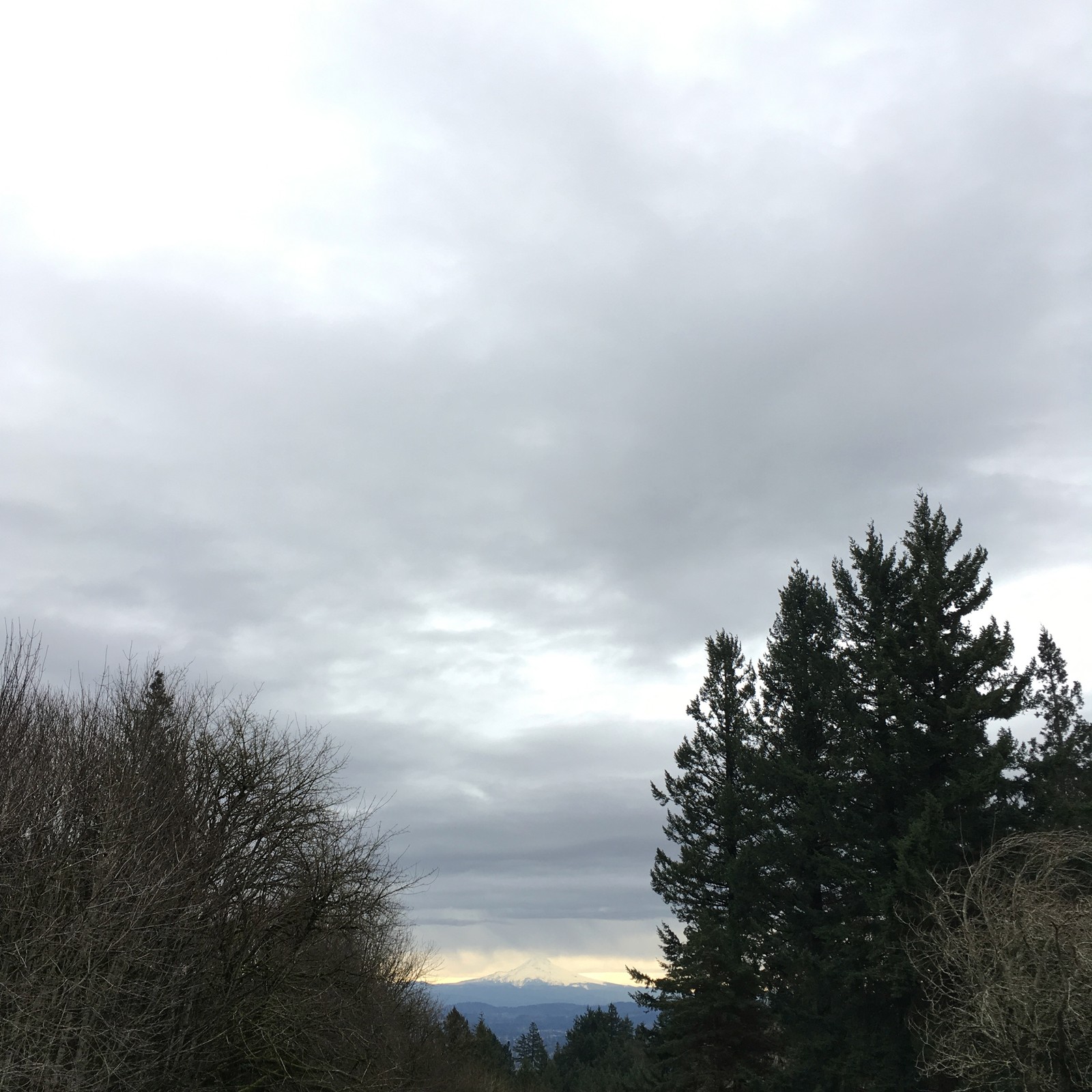 View from Council Crest toward Mt. Hood, which is visible