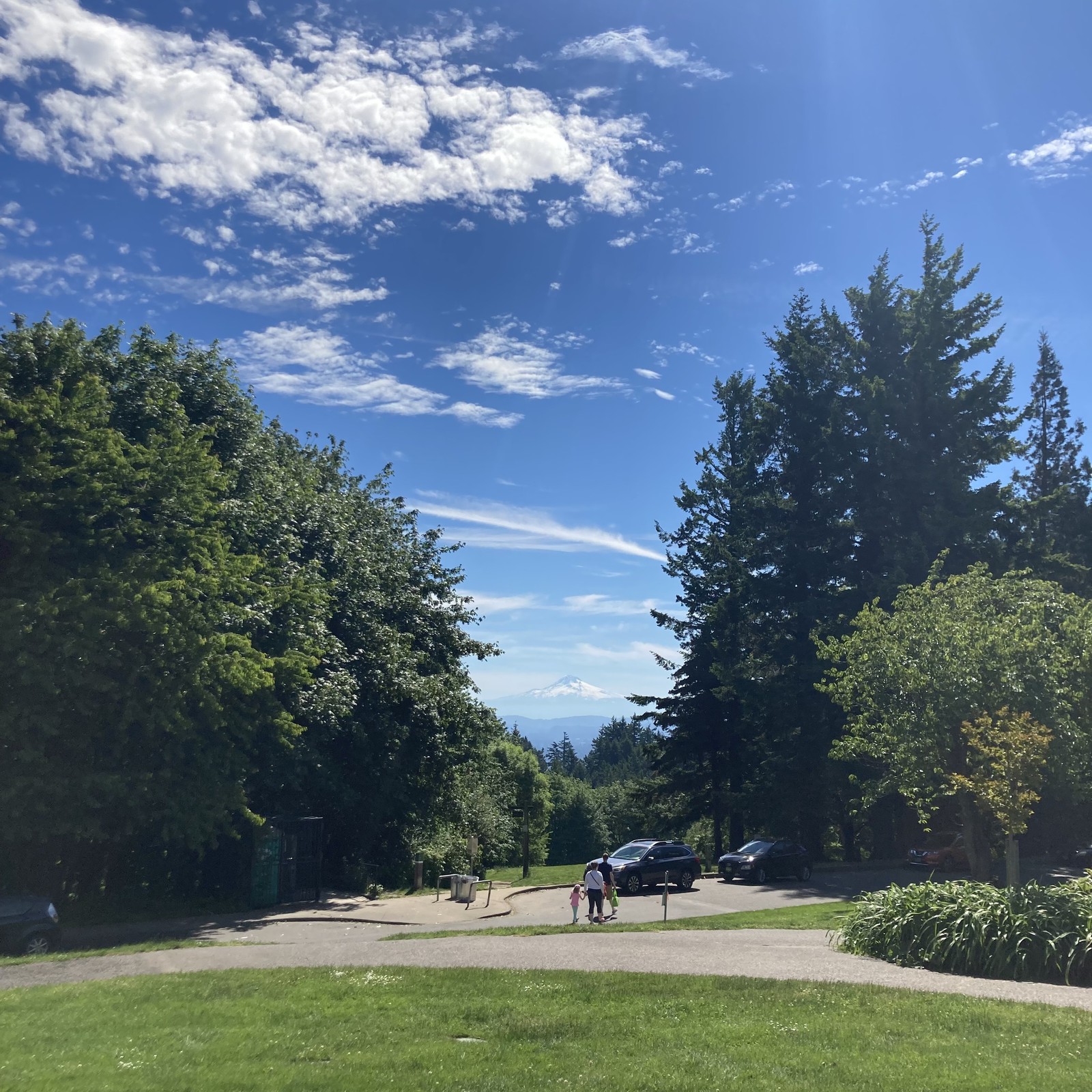 View from Council Crest toward Mt. Hood, which is visible