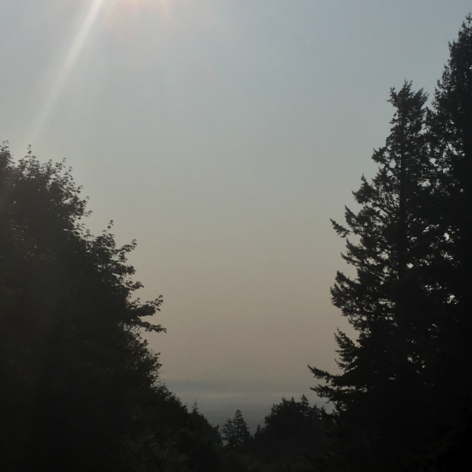View from Council Crest toward Mt. Hood, which is visible