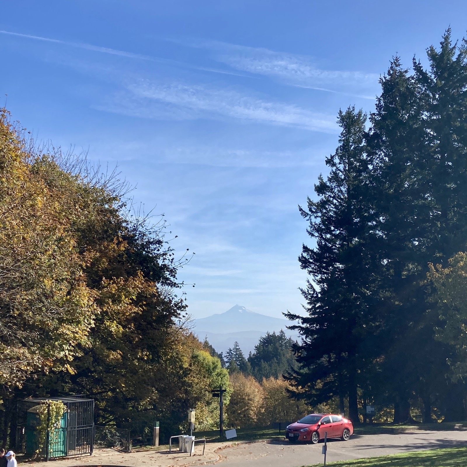 View from Council Crest toward Mt. Hood, which is visible