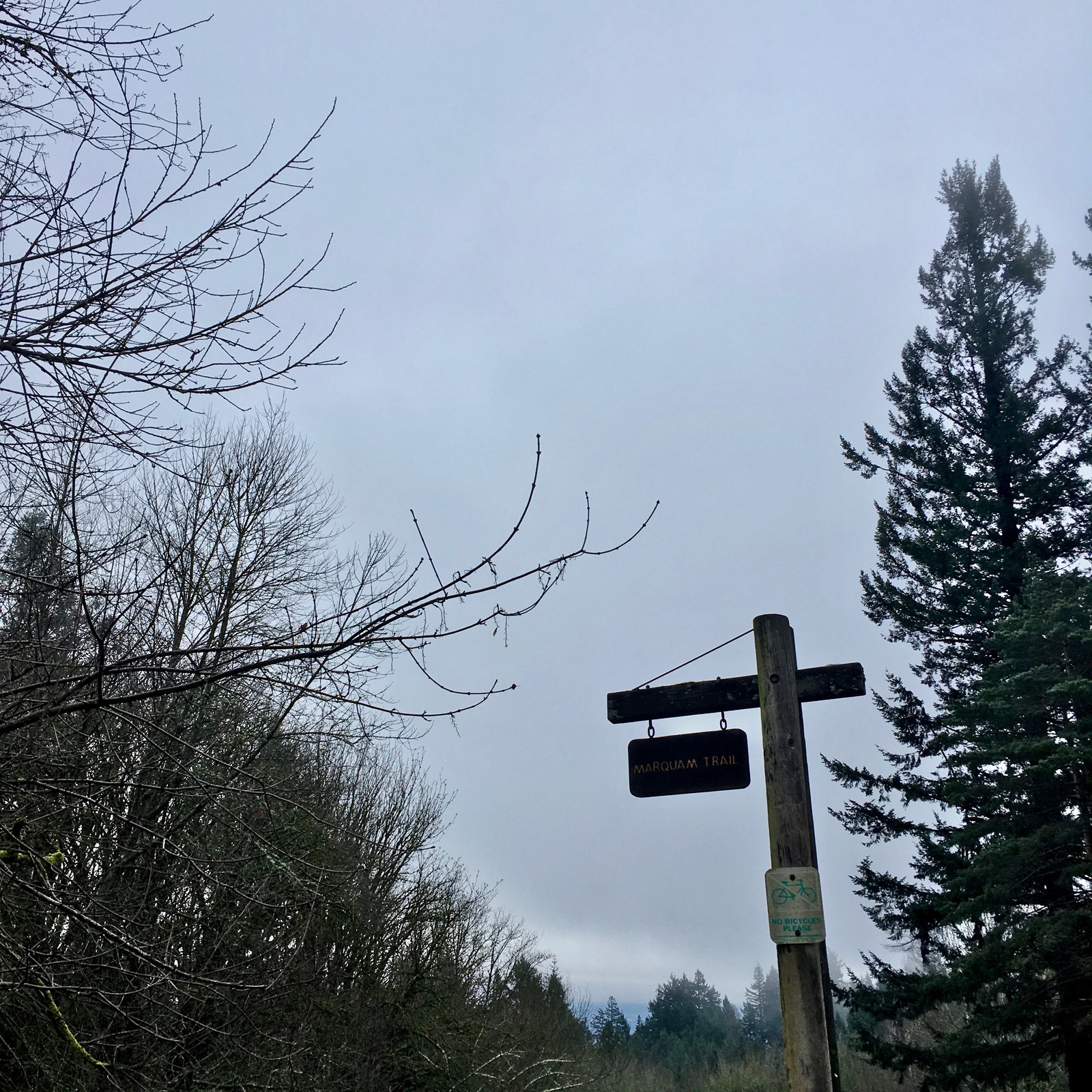 View from Council Crest toward Mt. Hood, which is NOT visible