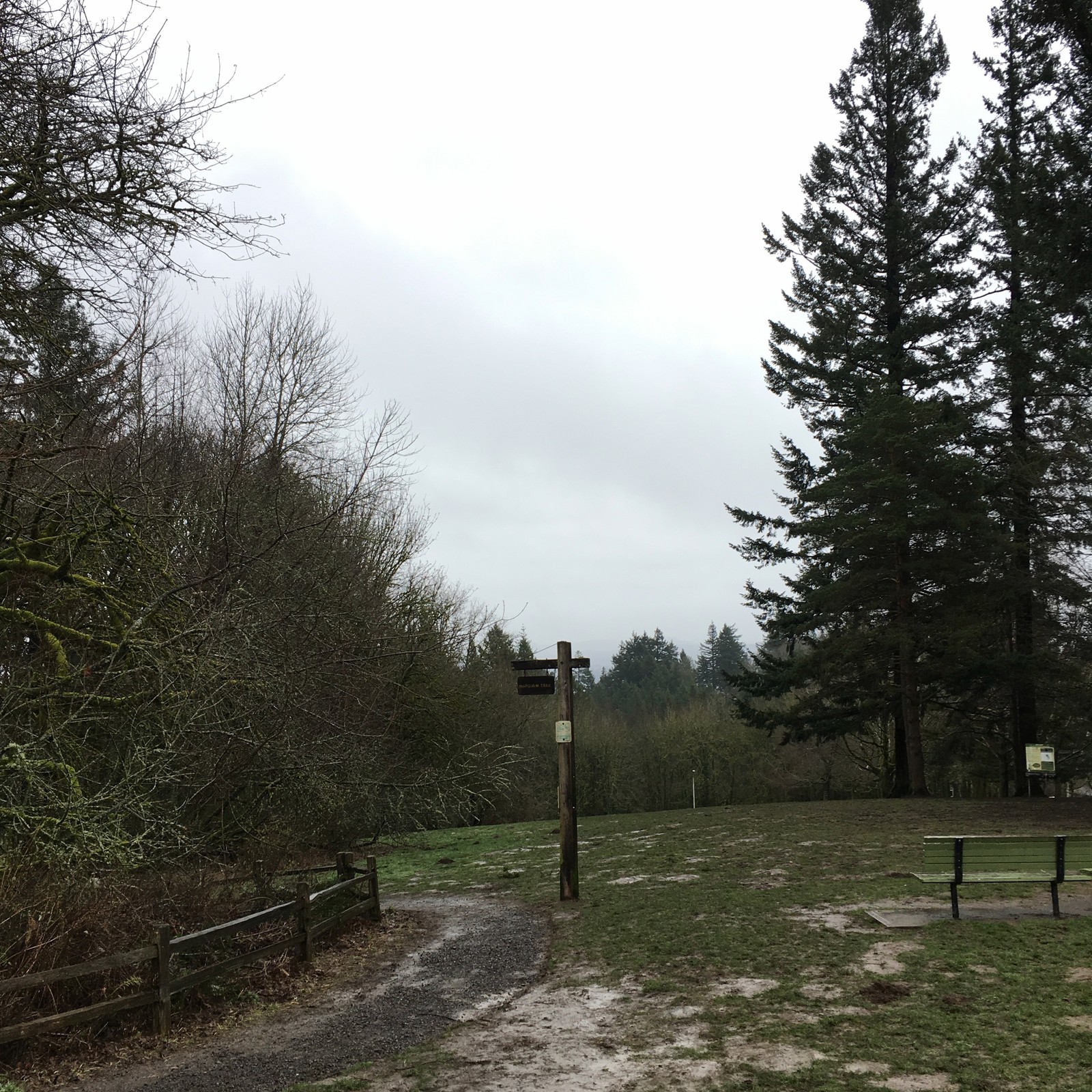 View from Council Crest toward Mt. Hood, which is NOT visible