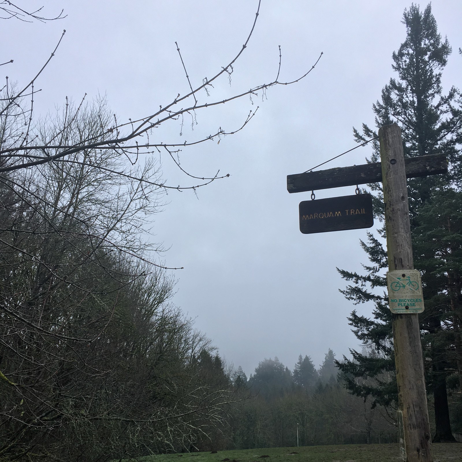 View from Council Crest toward Mt. Hood, which is NOT visible
