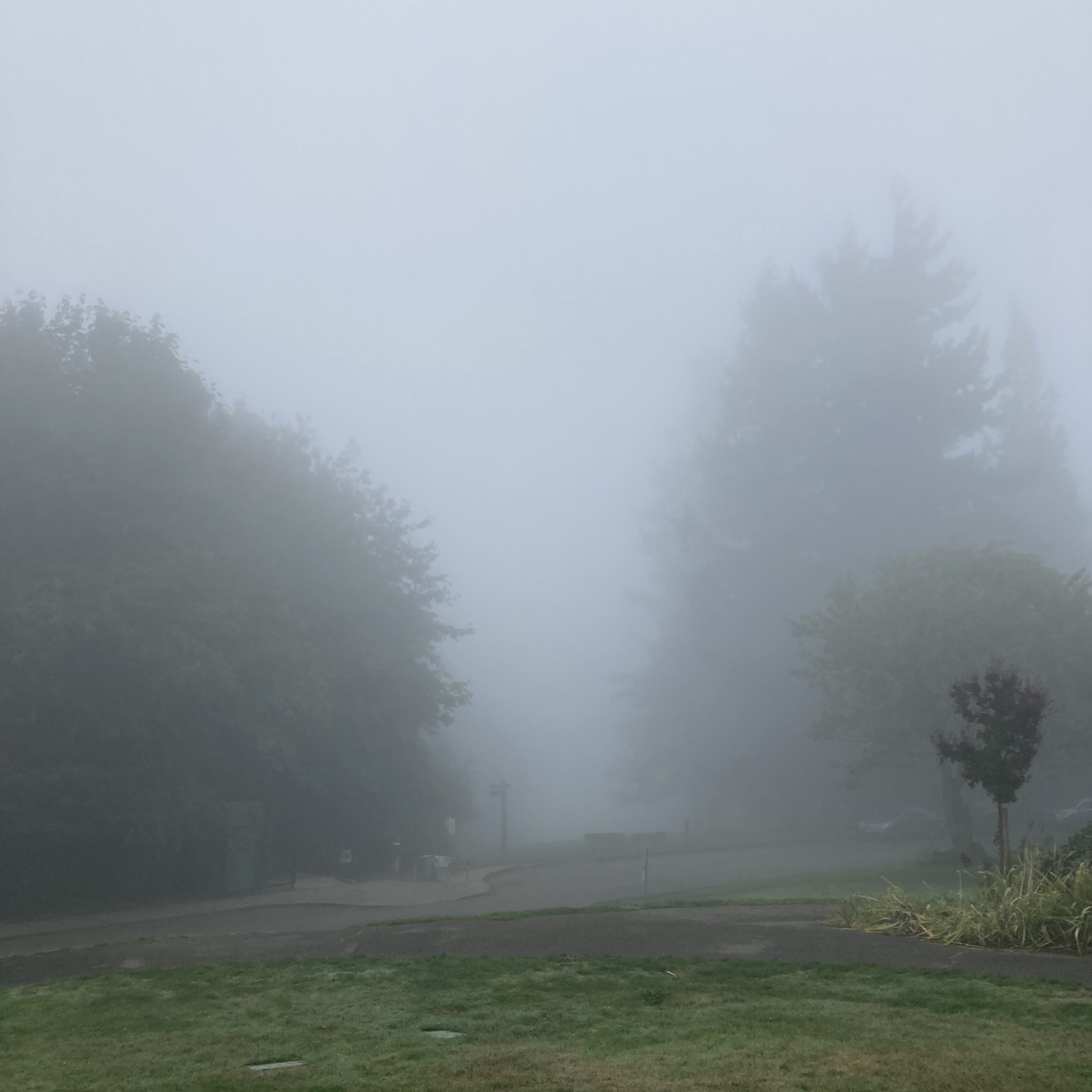 View from Council Crest toward Mt. Hood, which is NOT visible