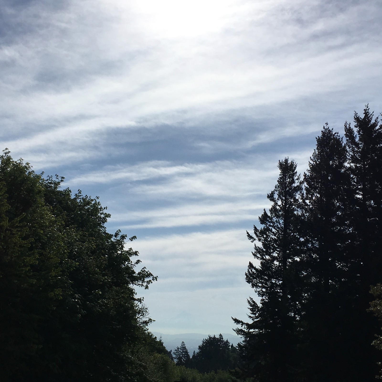 View from Council Crest toward Mt. Hood, which is visible