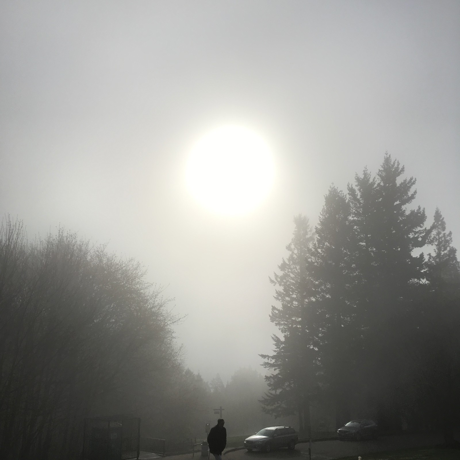 View from Council Crest toward Mt. Hood, which is NOT visible