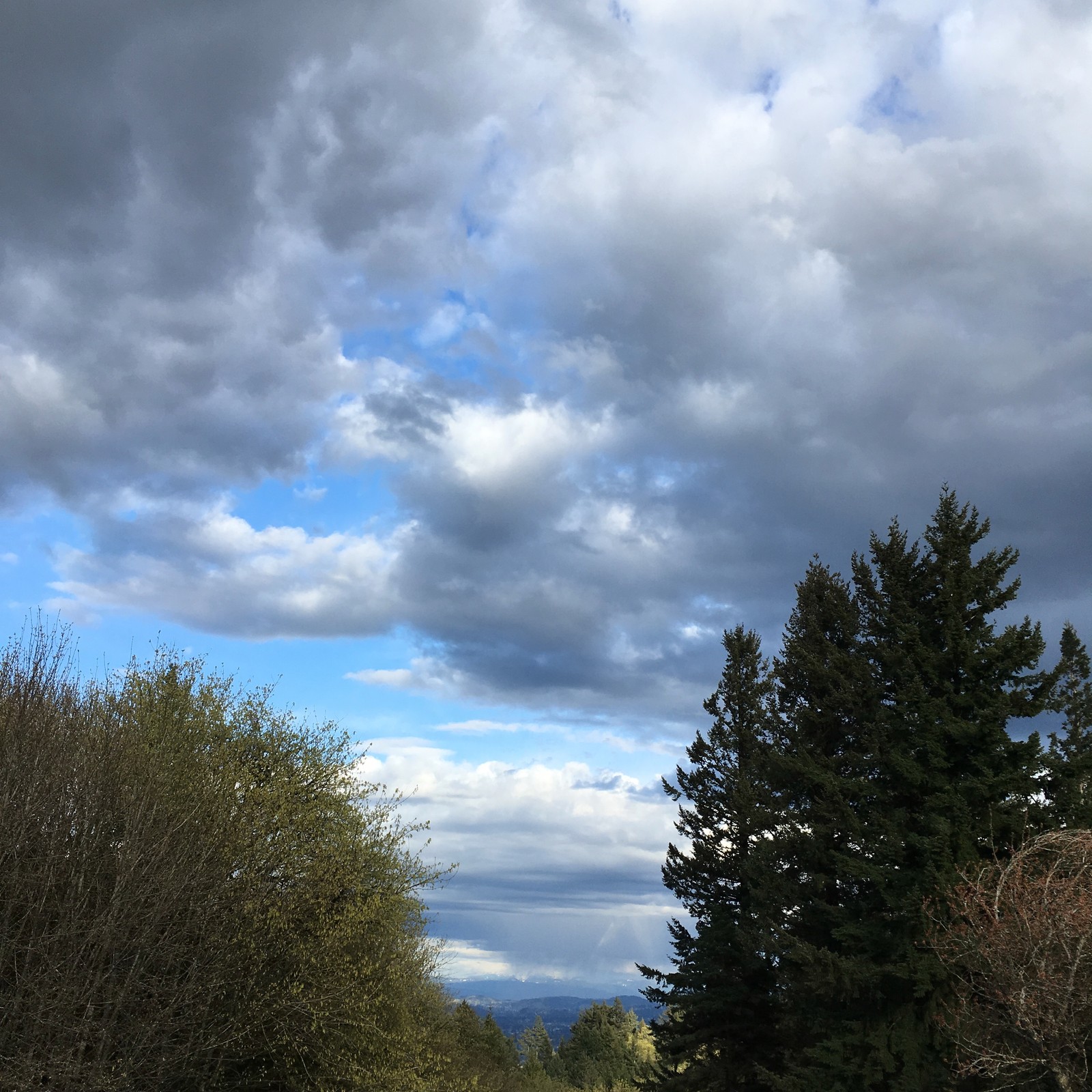 View from Council Crest toward Mt. Hood, which is NOT visible