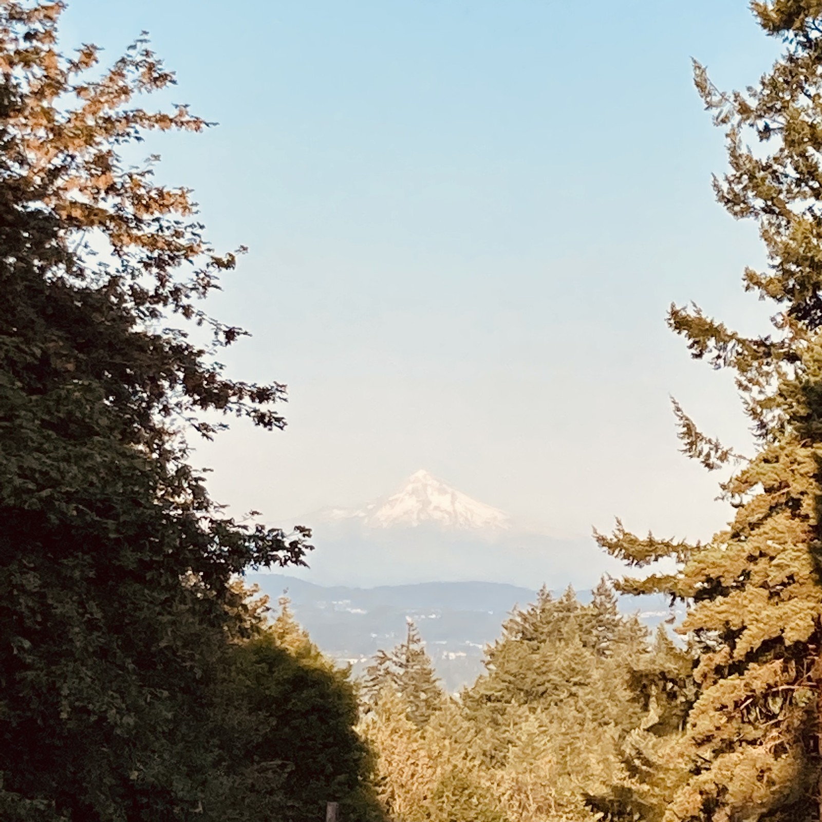 View from Council Crest toward Mt. Hood, which is visible