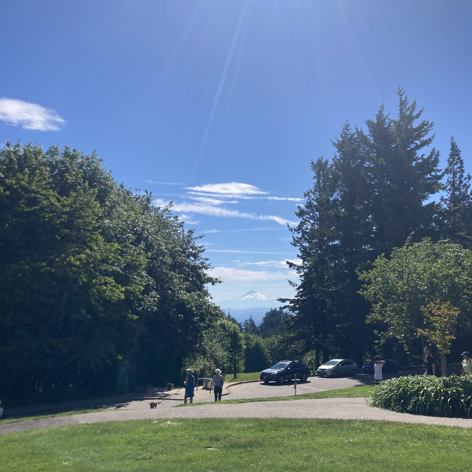 View from Council Crest toward Mt. Hood, which is visible