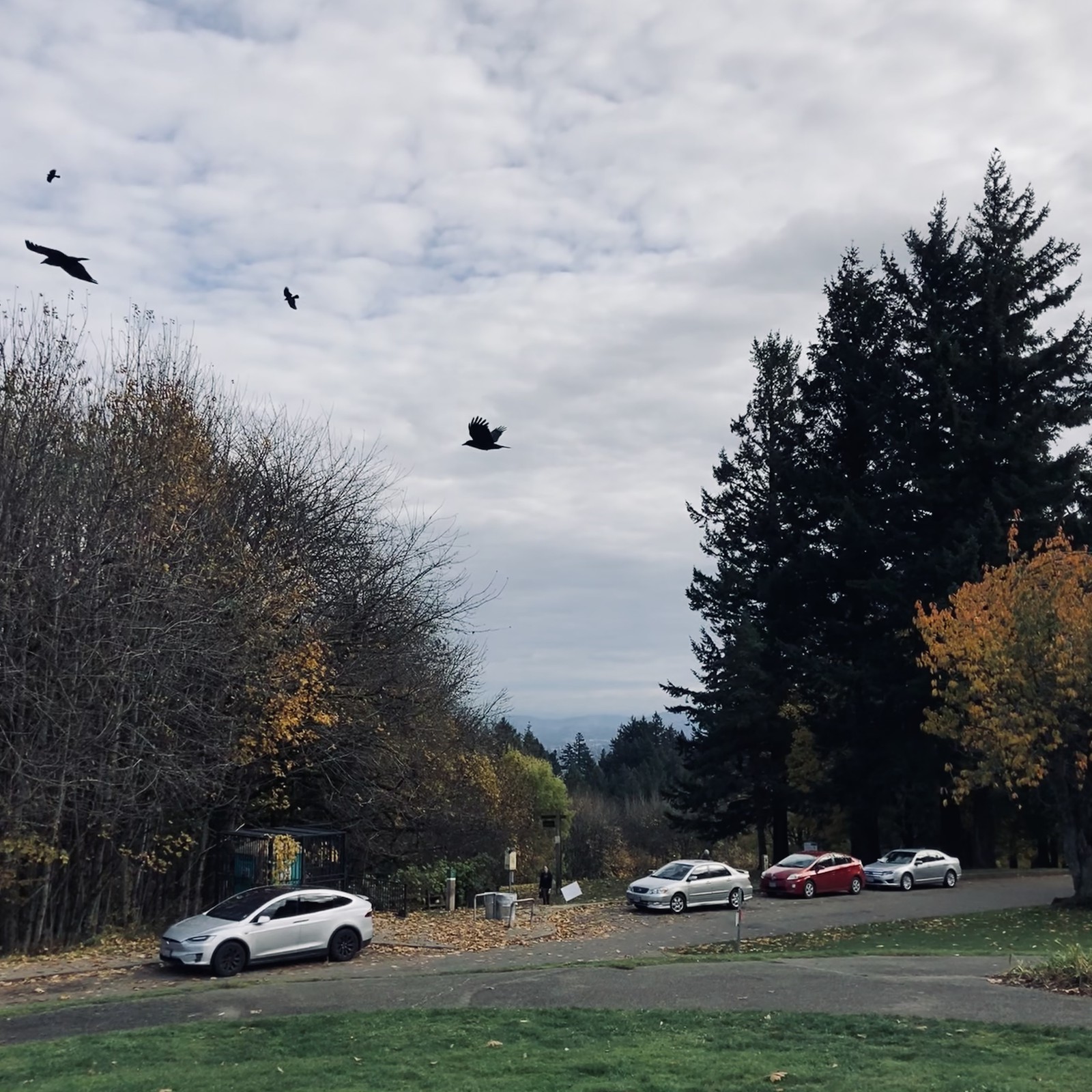 View from Council Crest toward Mt. Hood, which is NOT visible