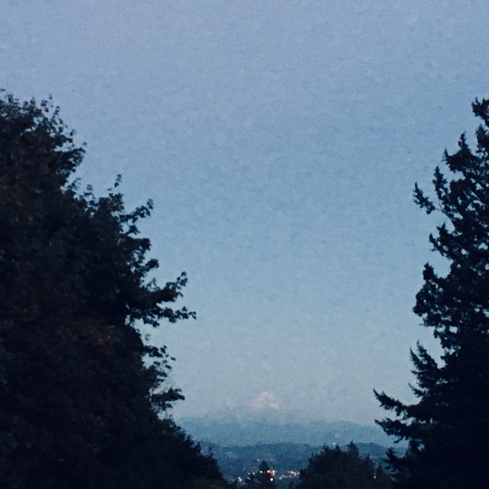 View from Council Crest toward Mt. Hood, which is visible