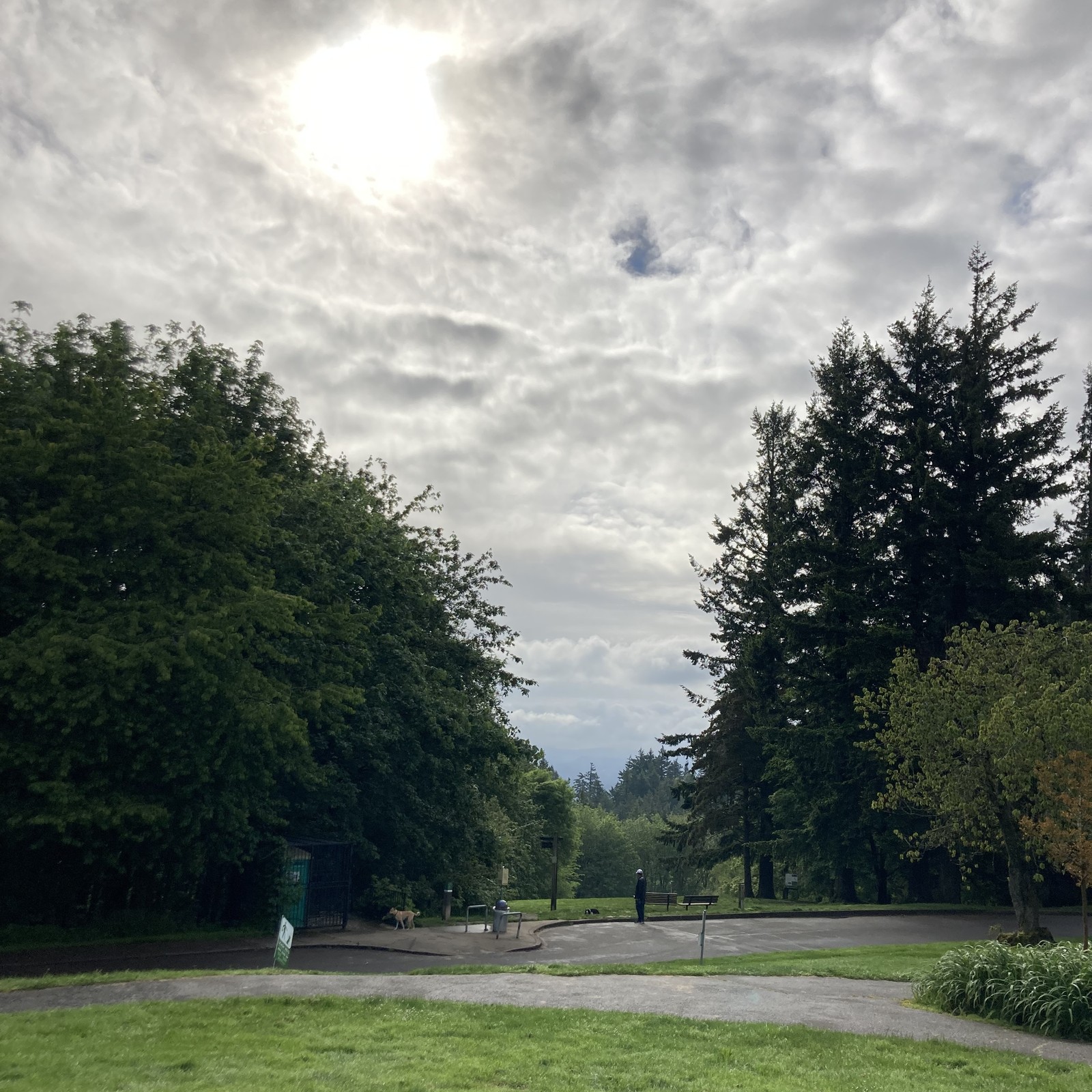 View from Council Crest toward Mt. Hood, which is NOT visible