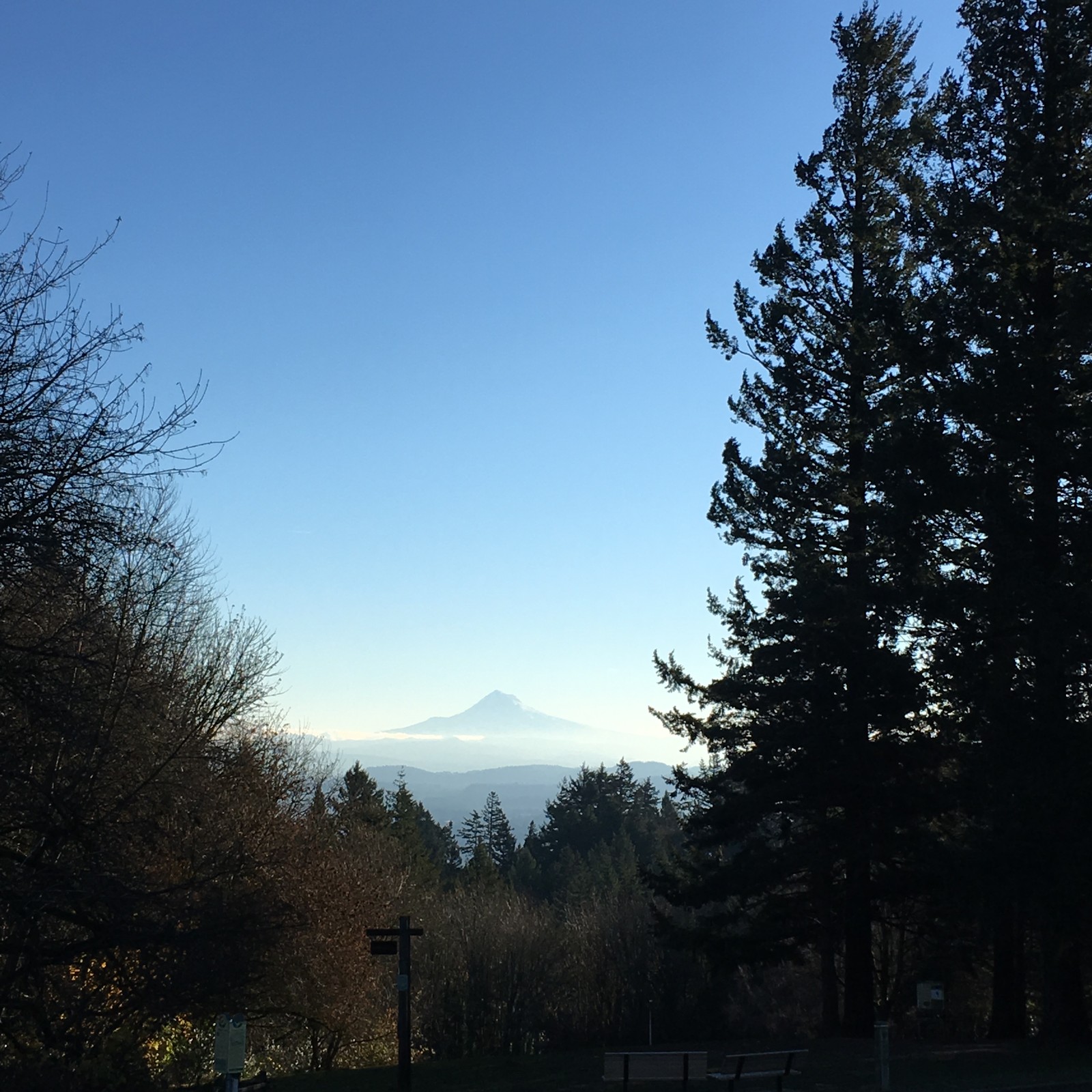 View from Council Crest toward Mt. Hood, which is visible