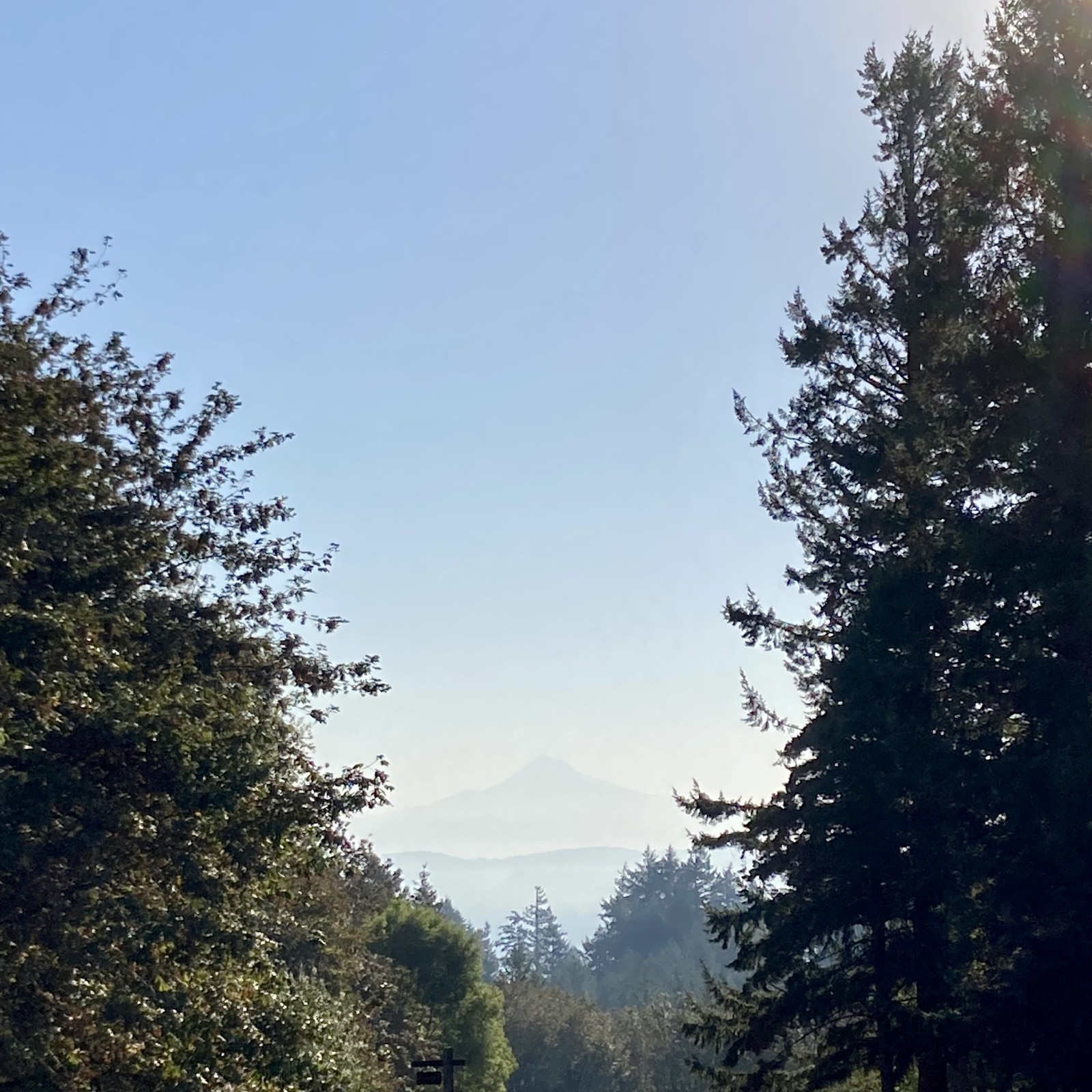 View from Council Crest toward Mt. Hood, which is visible