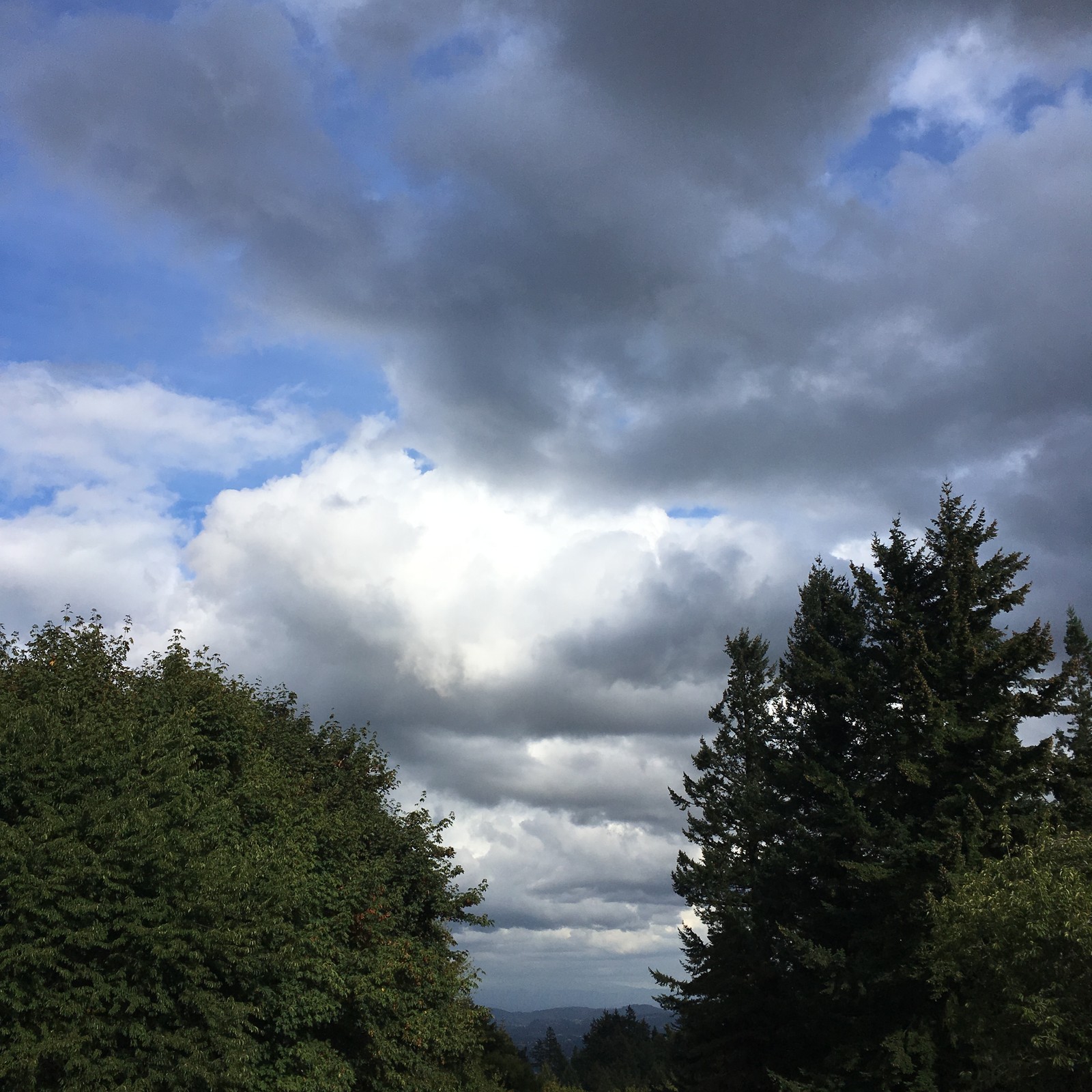 View from Council Crest toward Mt. Hood, which is NOT visible