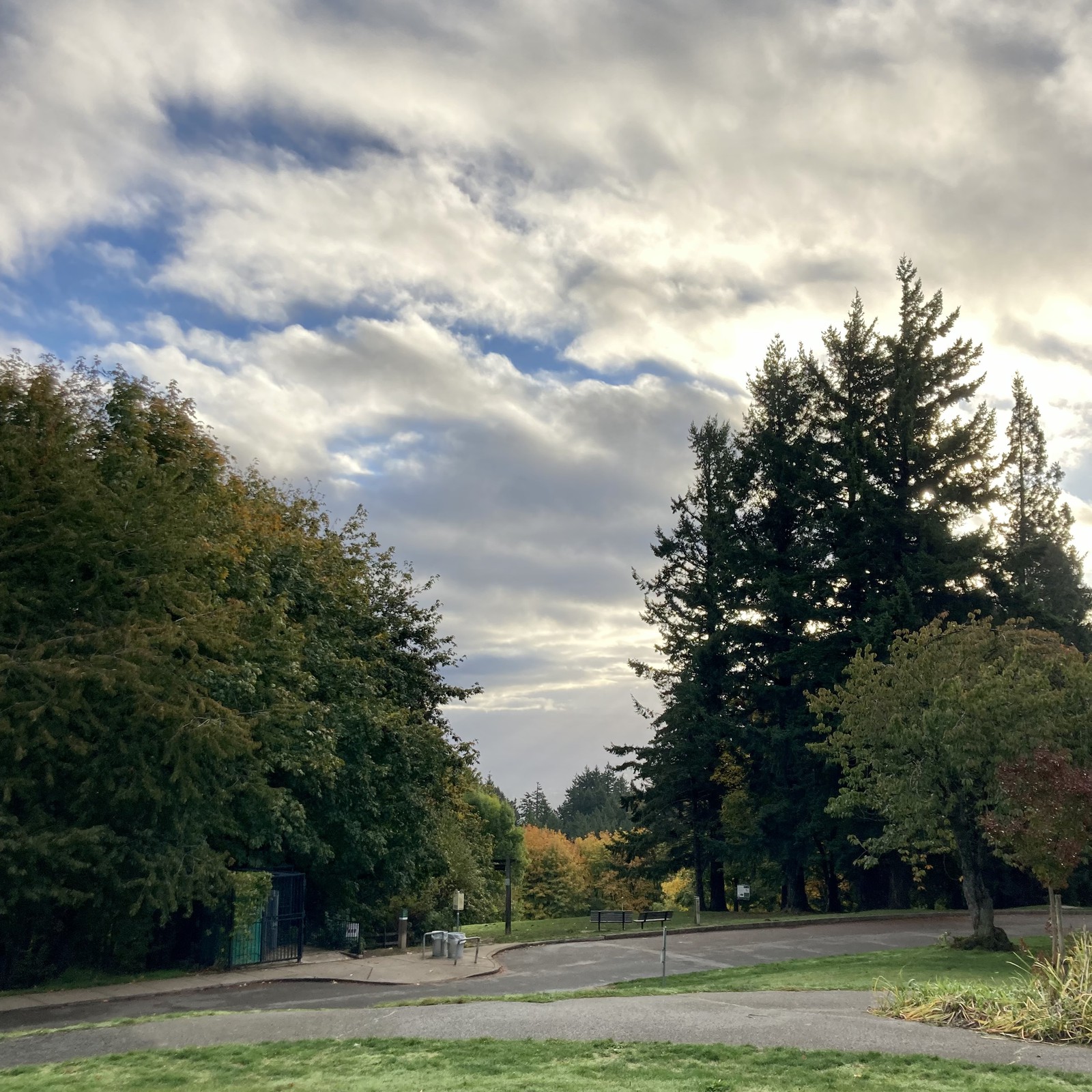 View from Council Crest toward Mt. Hood, which is NOT visible