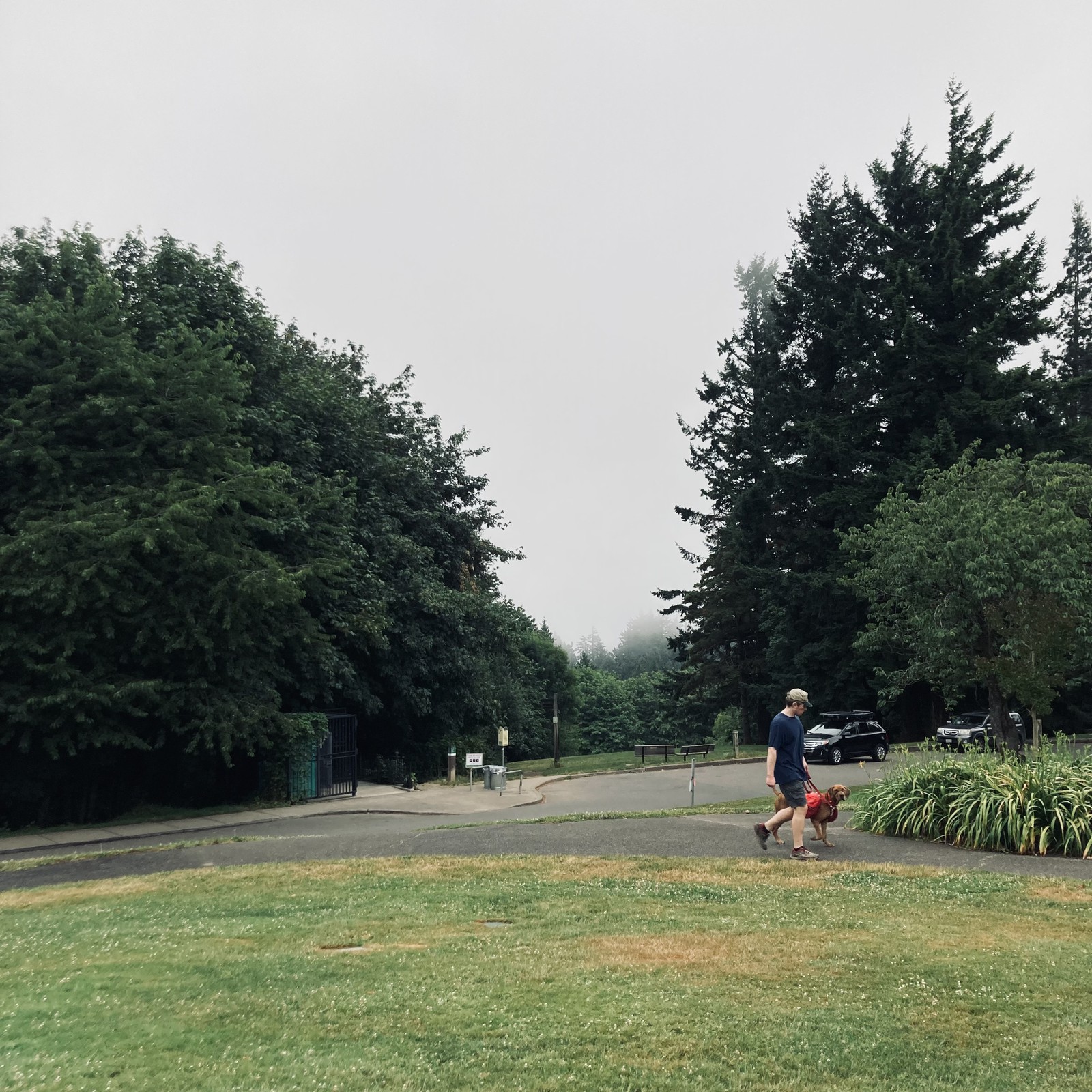 View from Council Crest toward Mt. Hood, which is NOT visible