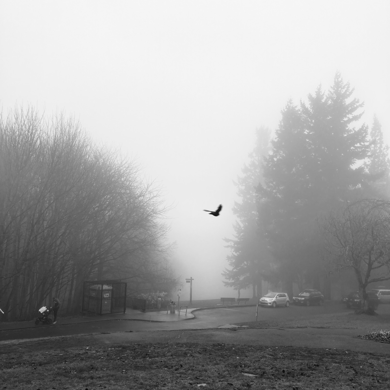 View from Council Crest toward Mt. Hood, which is NOT visible