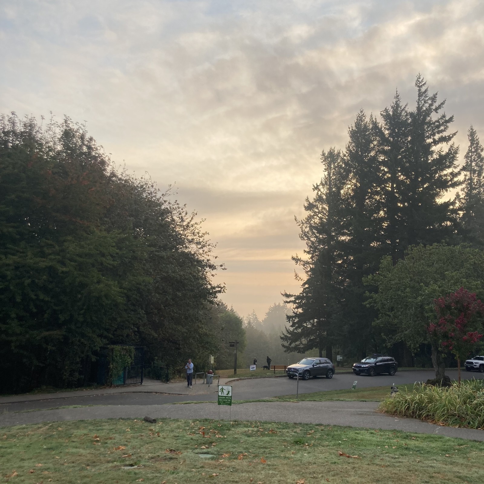 View from Council Crest toward Mt. Hood, which is NOT visible