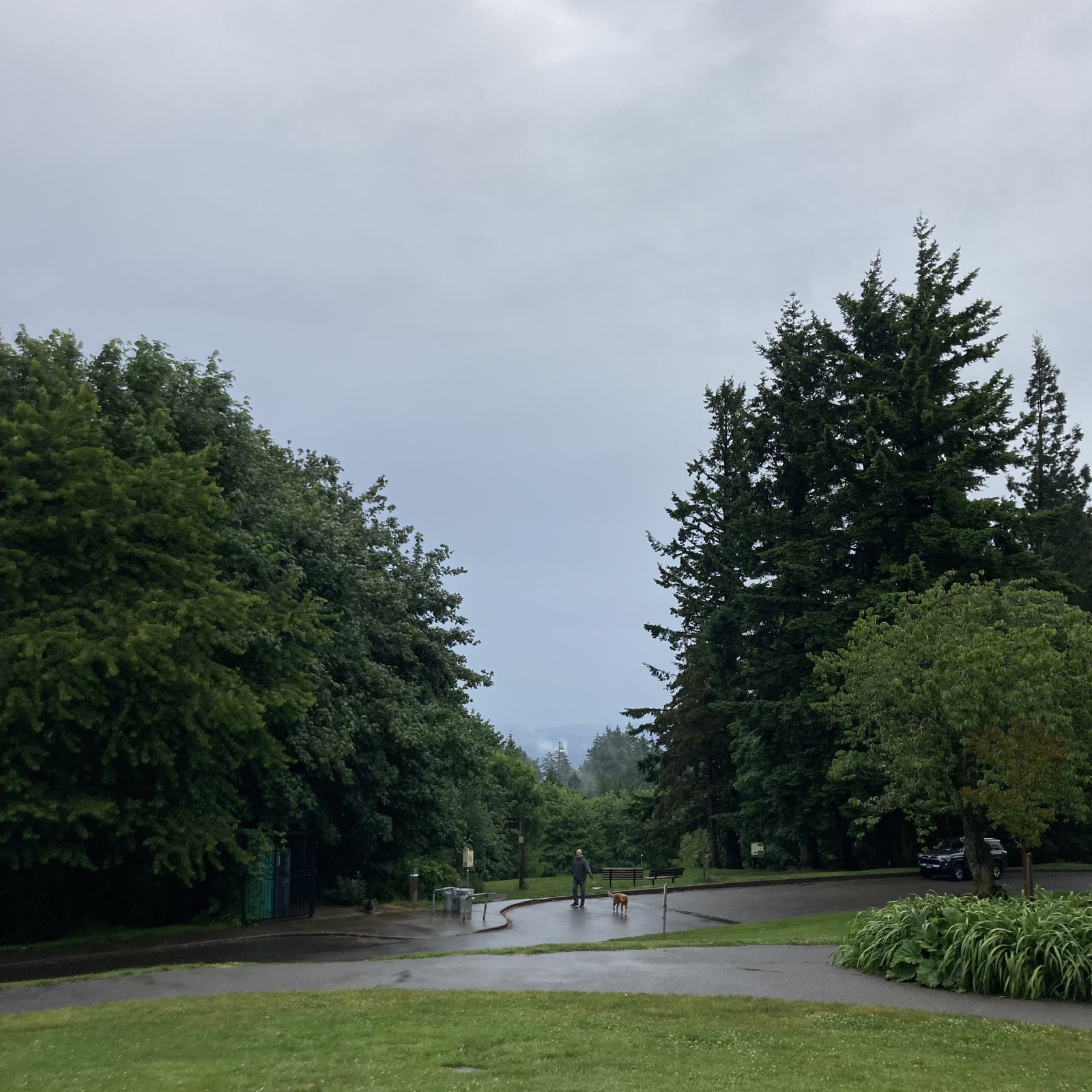 View from Council Crest toward Mt. Hood, which is NOT visible