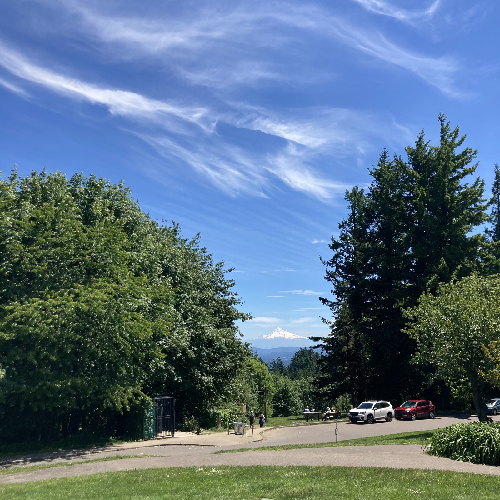 View from Council Crest toward Mt. Hood, which is visible