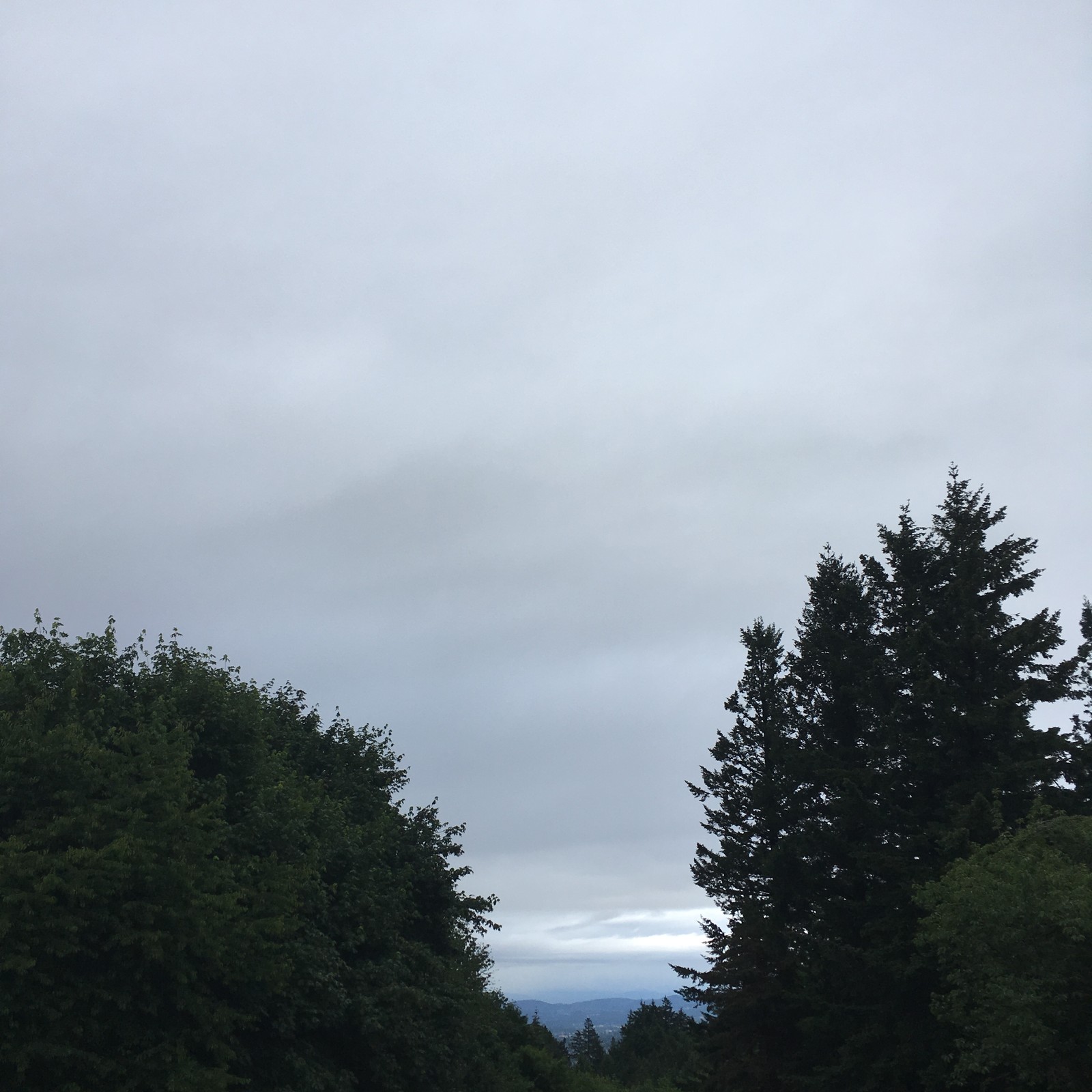 View from Council Crest toward Mt. Hood, which is NOT visible