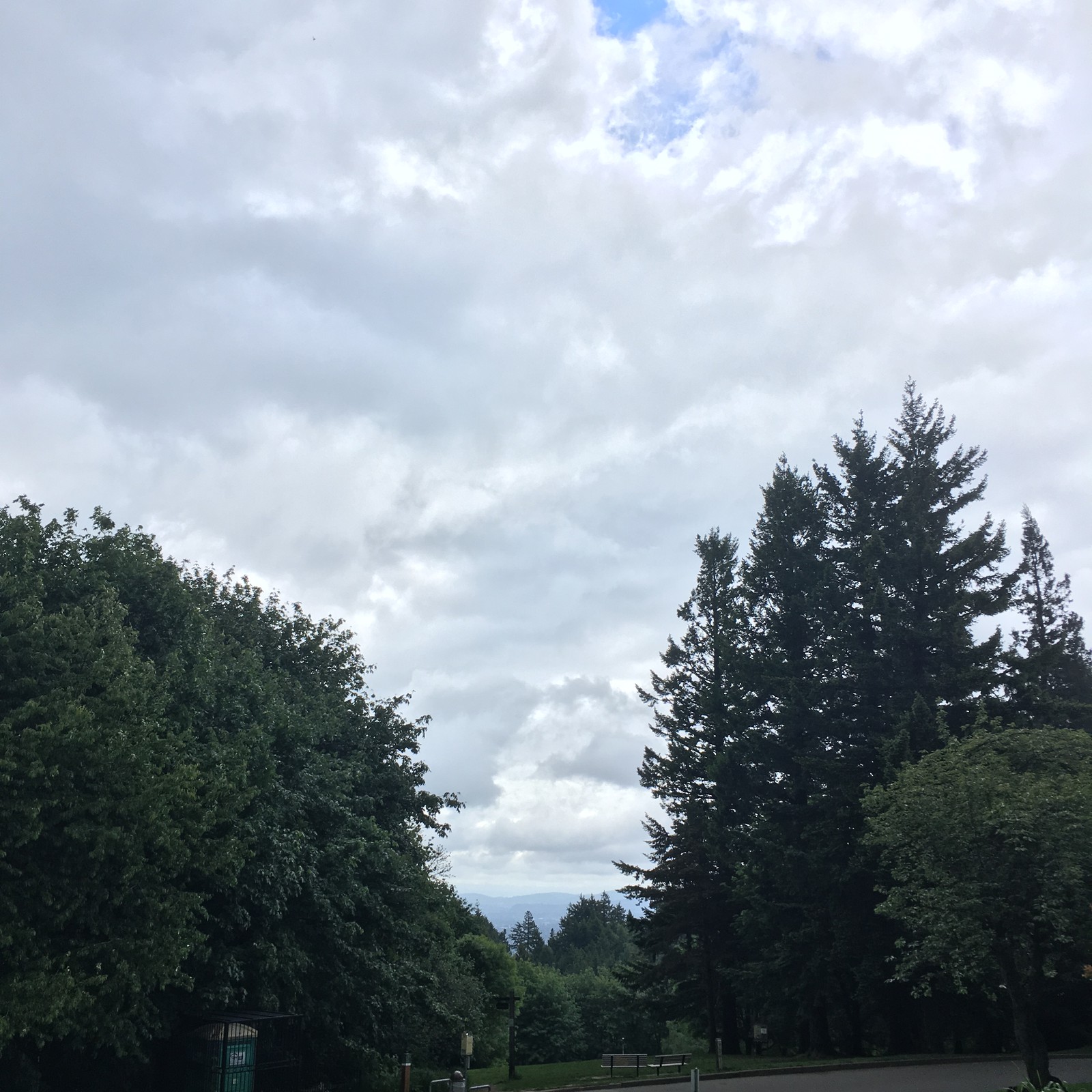 View from Council Crest toward Mt. Hood, which is NOT visible